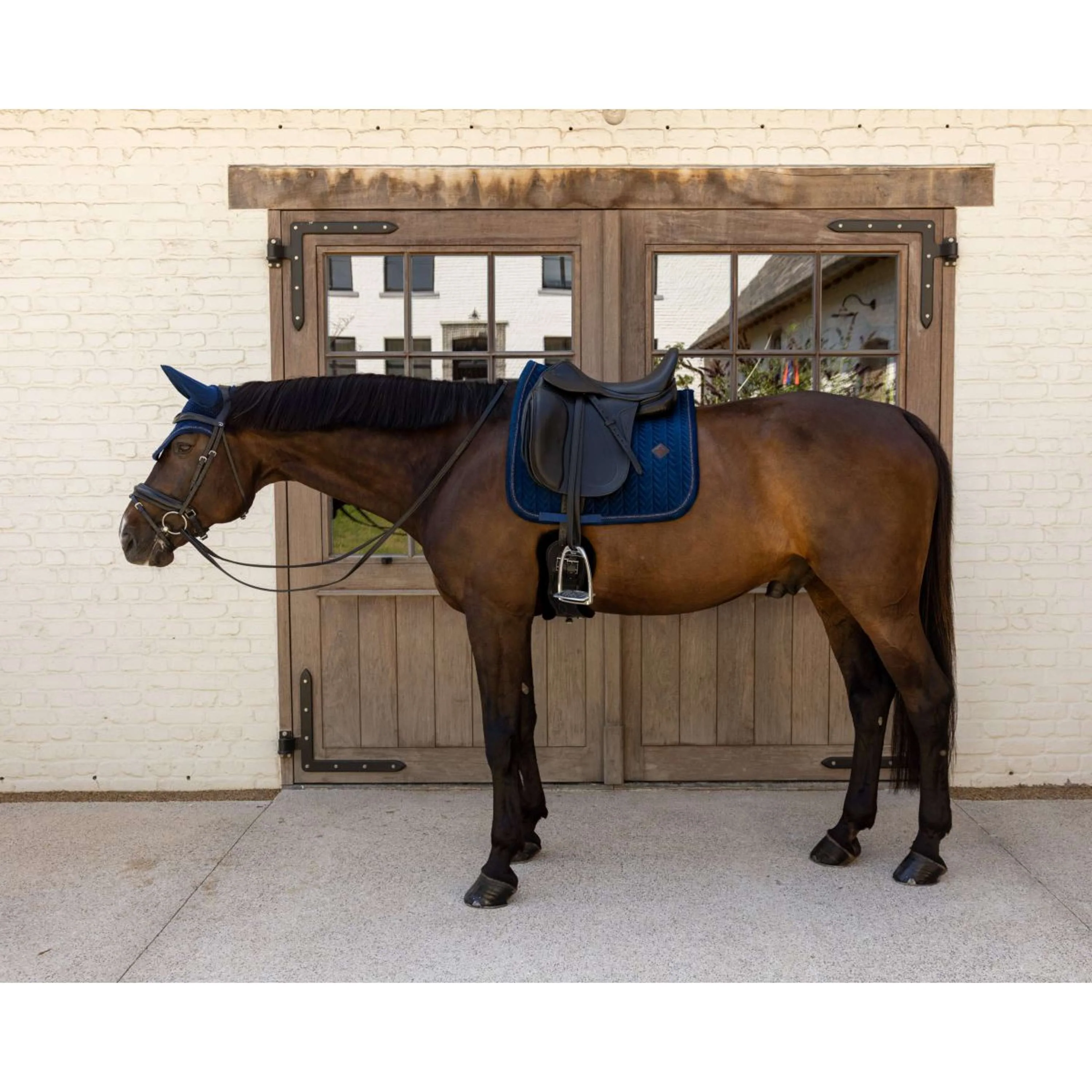 Kentucky Tapis de Selle Velvet Mini Pearls Dressage Marin - Image 2