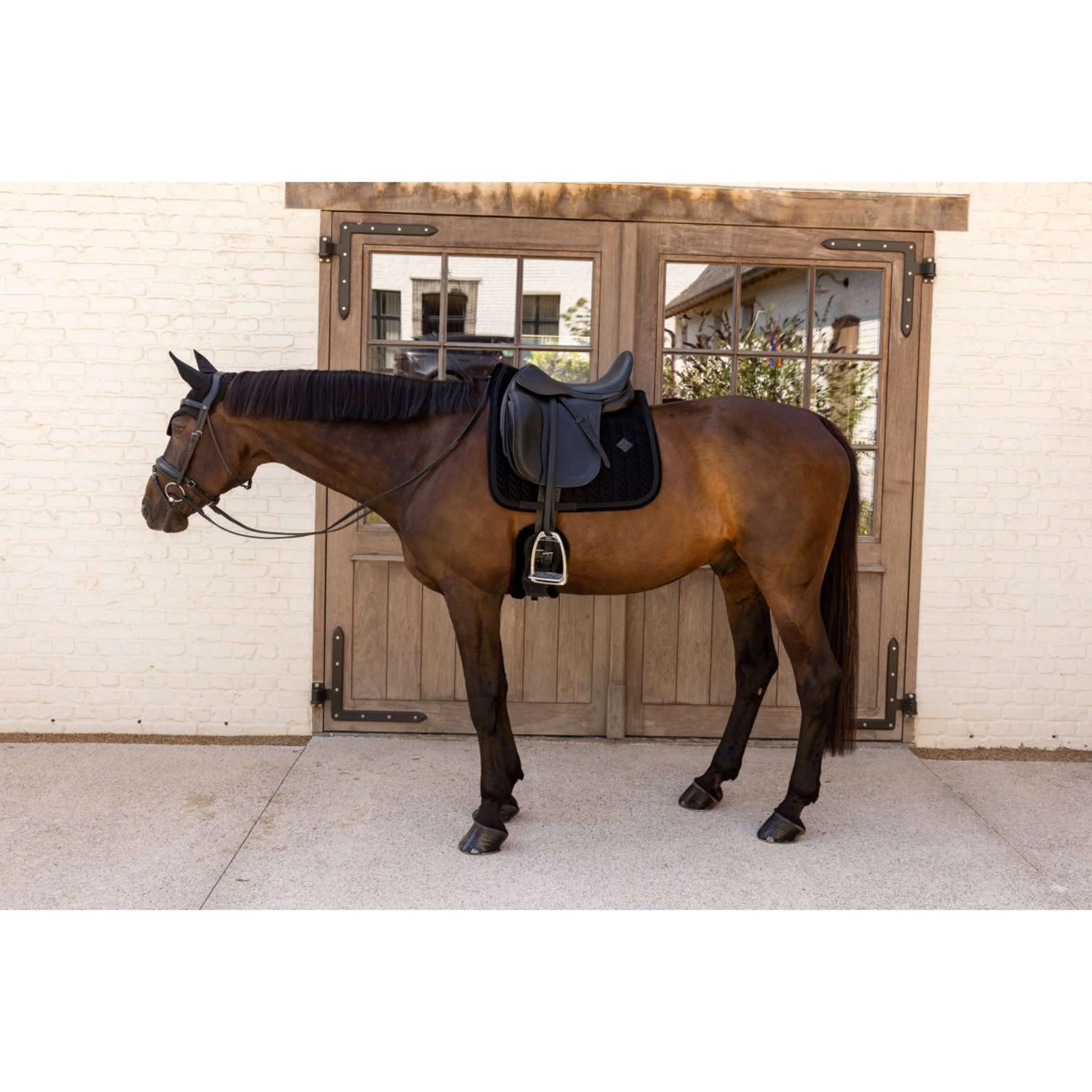 Kentucky Tapis de Selle Velvet Mini Pearls Dressage Noir - Image 2