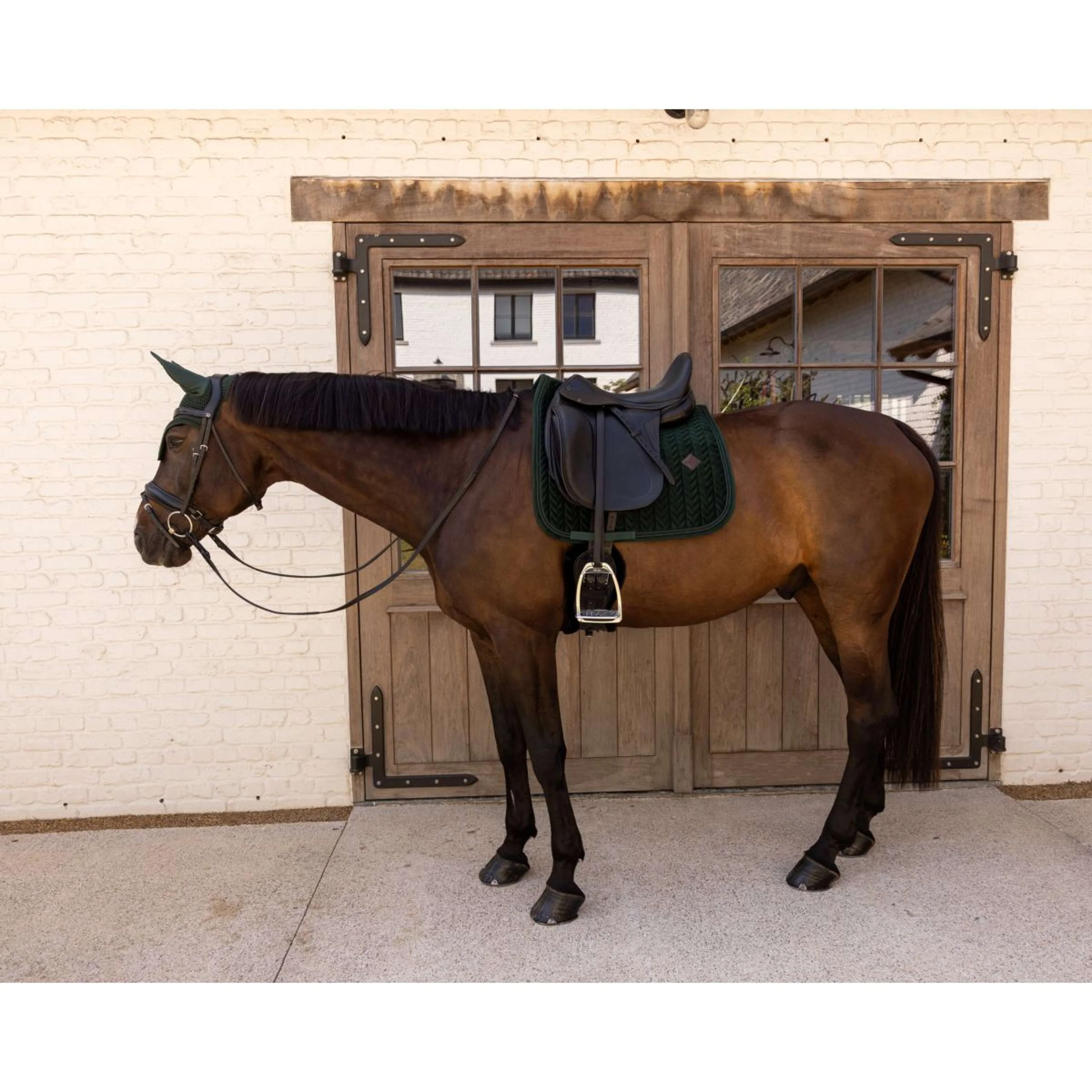 Kentucky Tapis de Selle Velvet Mini Pearls Dressage Pine Green - Image 2