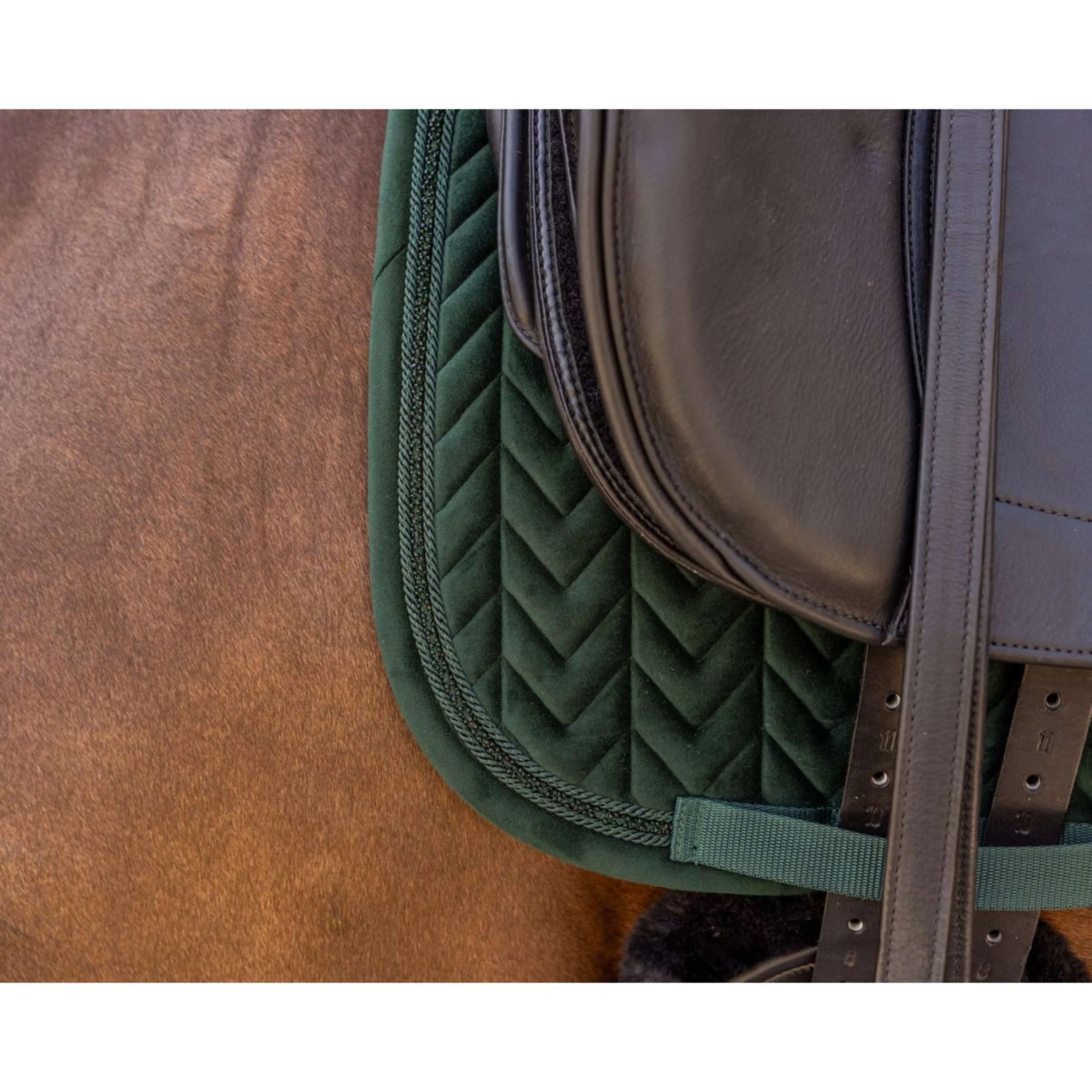 Kentucky Tapis de Selle Velvet Mini Pearls Dressage Pine Green - Image 4