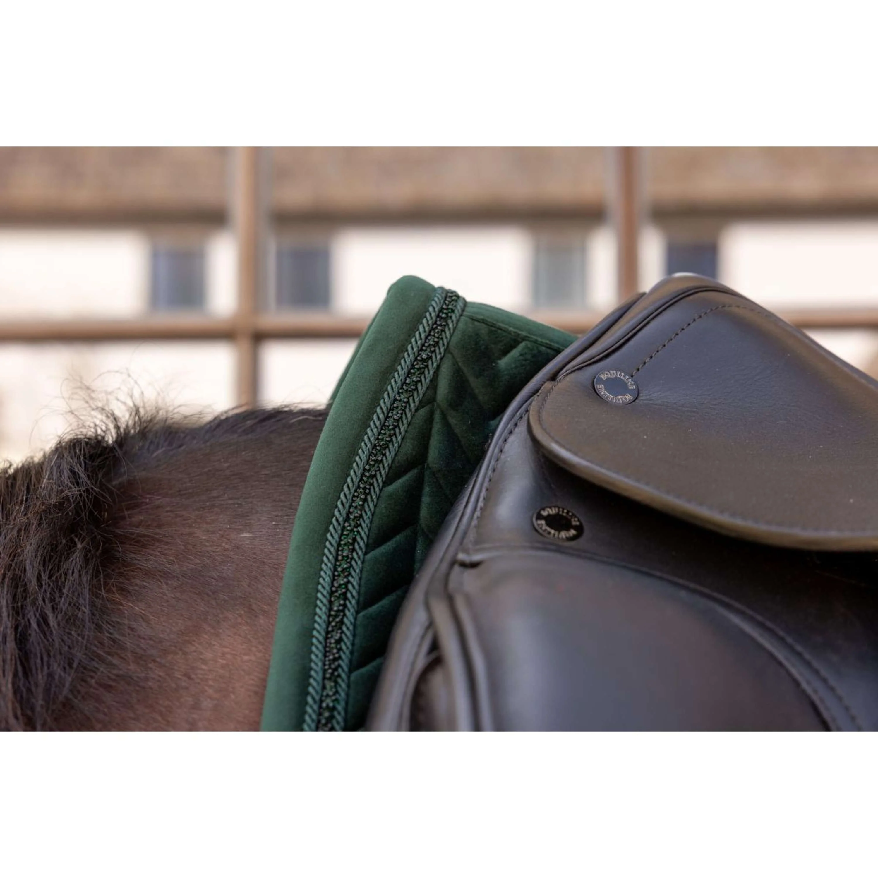 Kentucky Tapis de Selle Velvet Mini Pearls Dressage Pine Green - Image 6