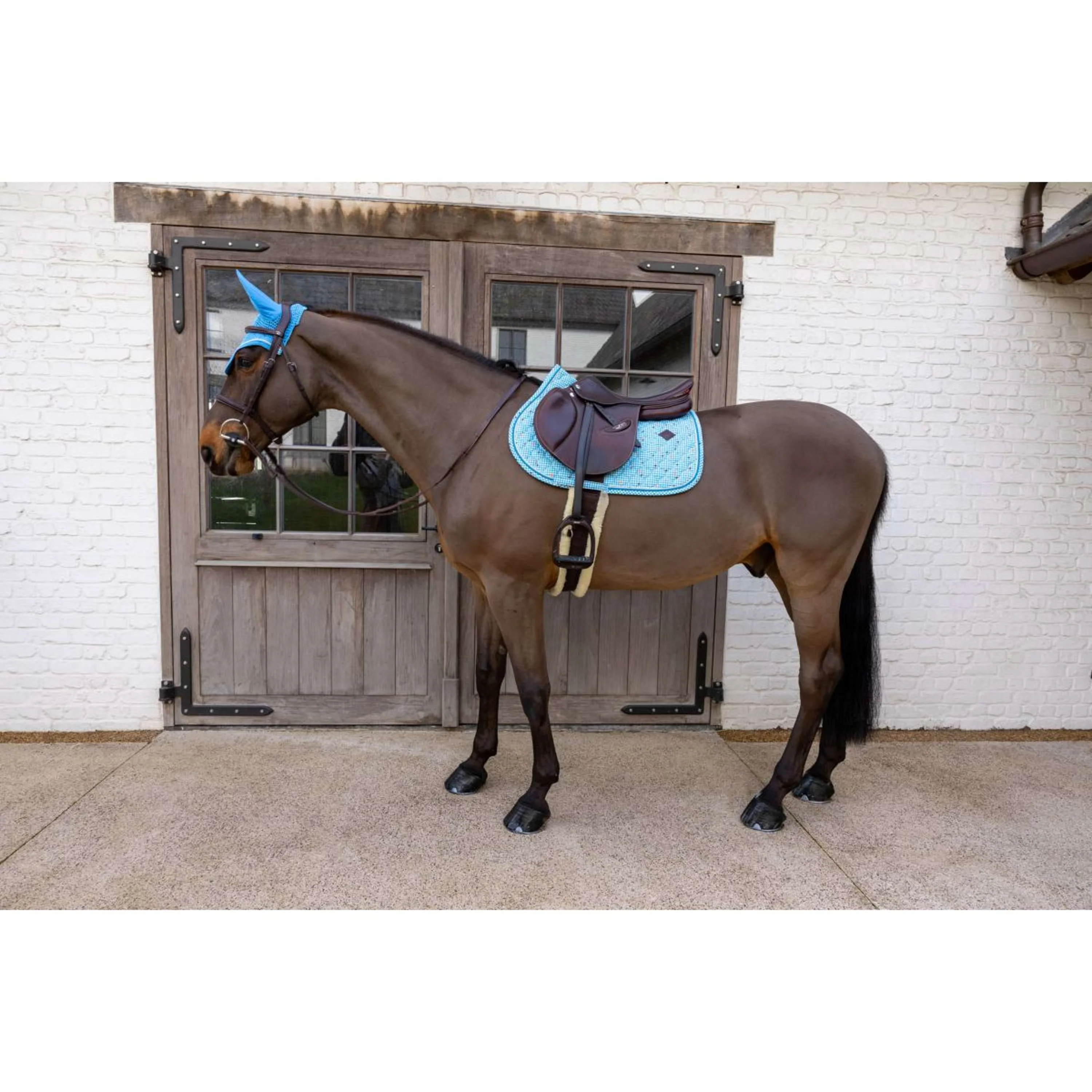 Kentucky Tapis de Selle Velvet Pied De Poule de Saut Marin - Image 6