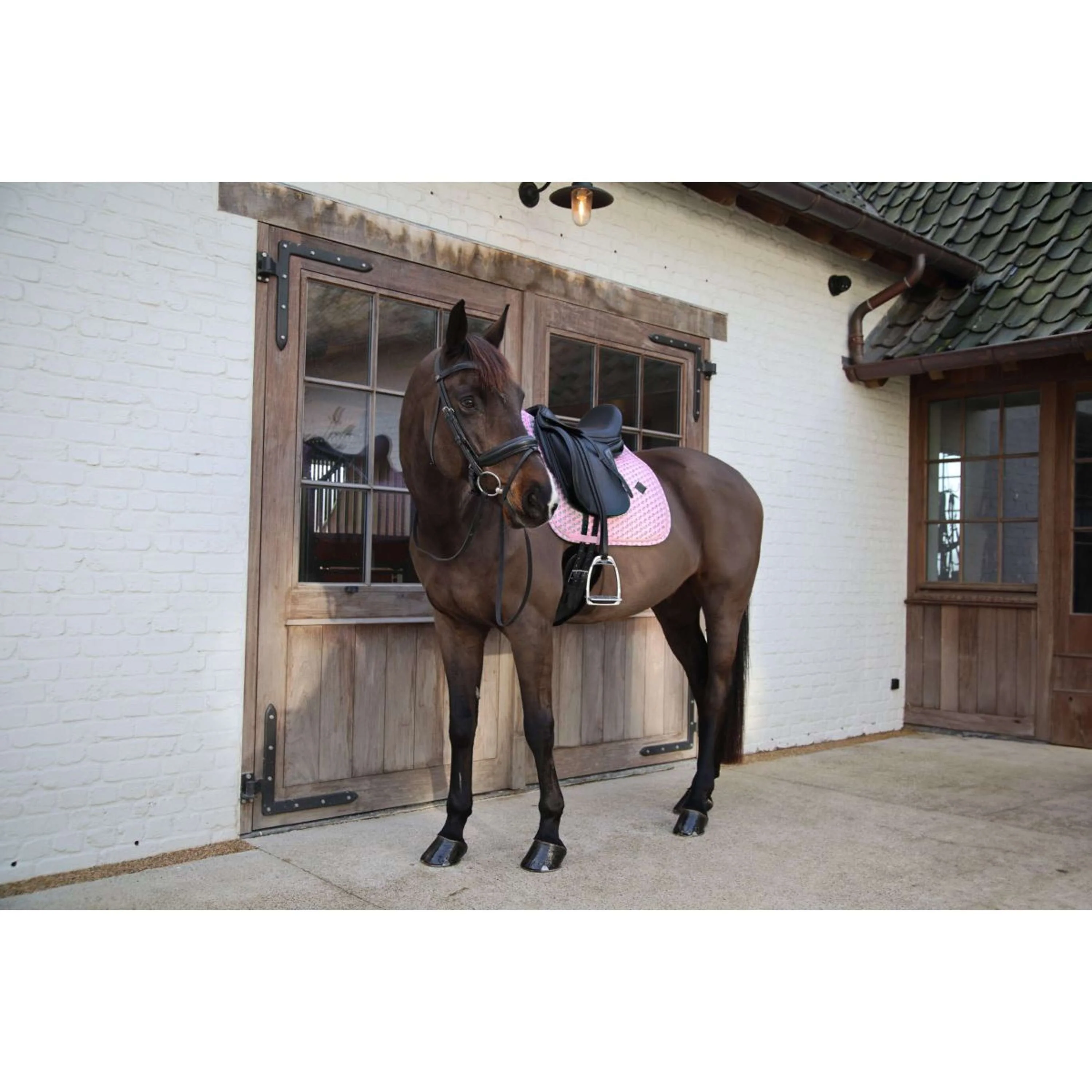 Kentucky Tapis de Selle Velvet Sammy Dressage Old Rose - Image 3