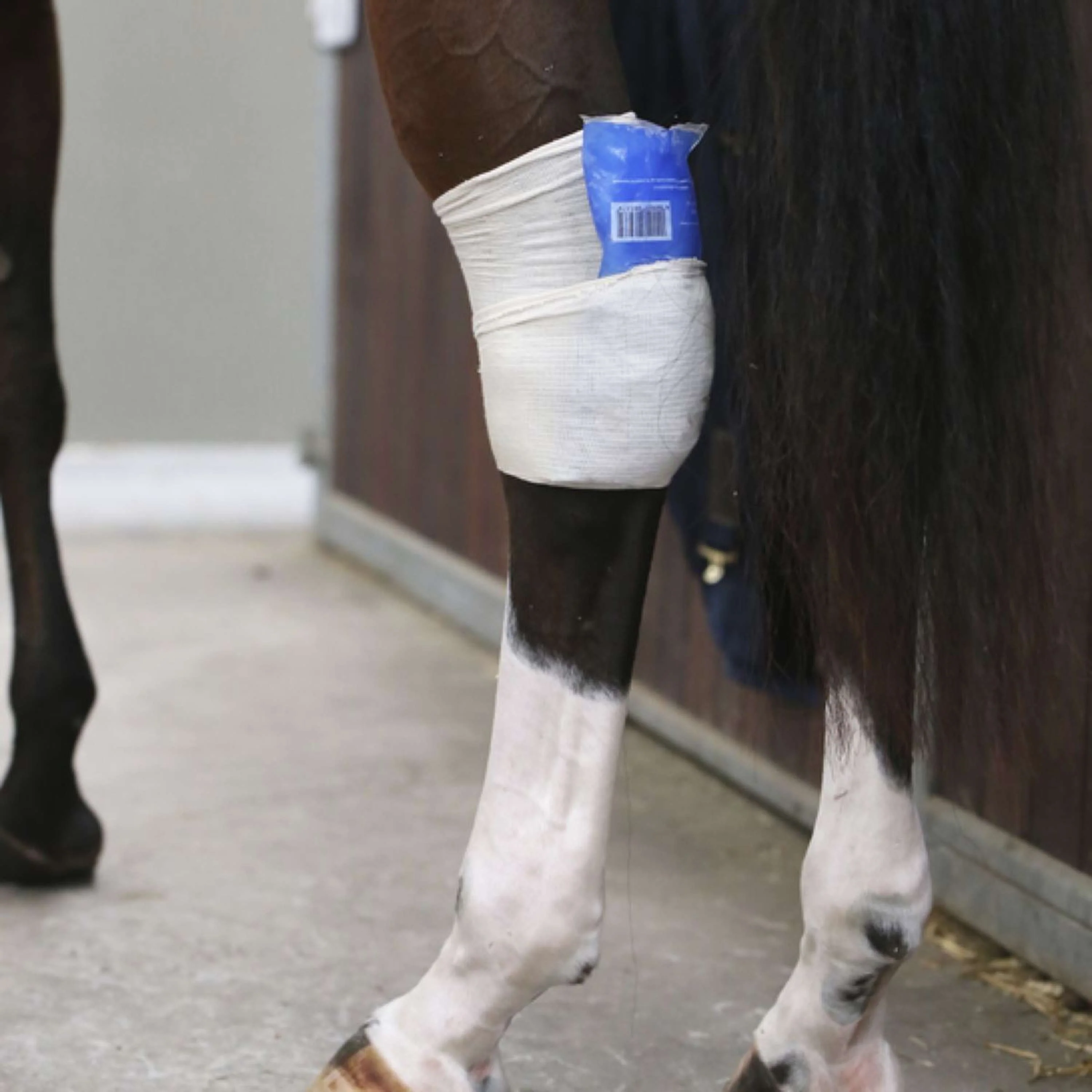 Kentucky Tendon Grip Beige - Image 2