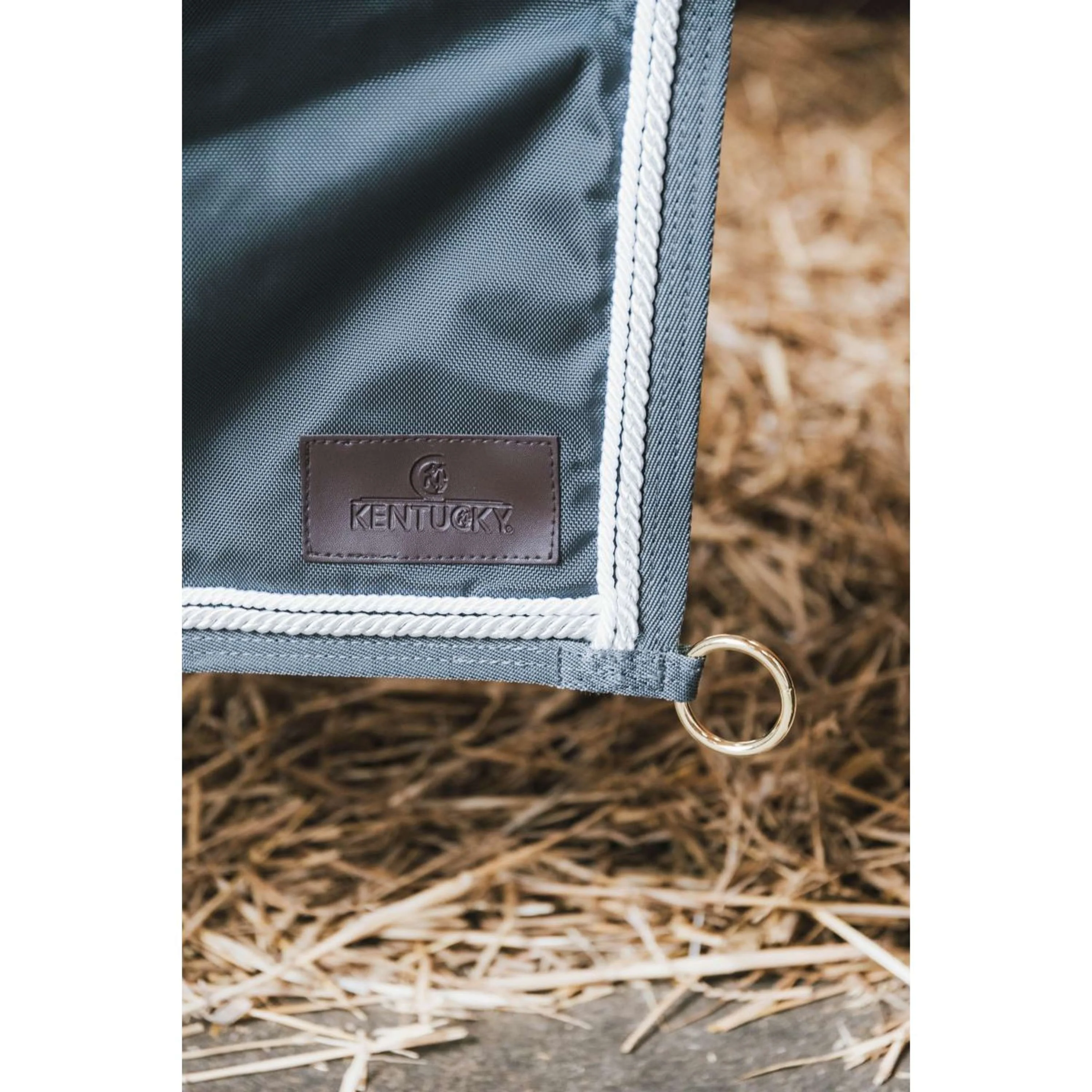 Kentucky Tenture de Box Classic Gris - Image 4