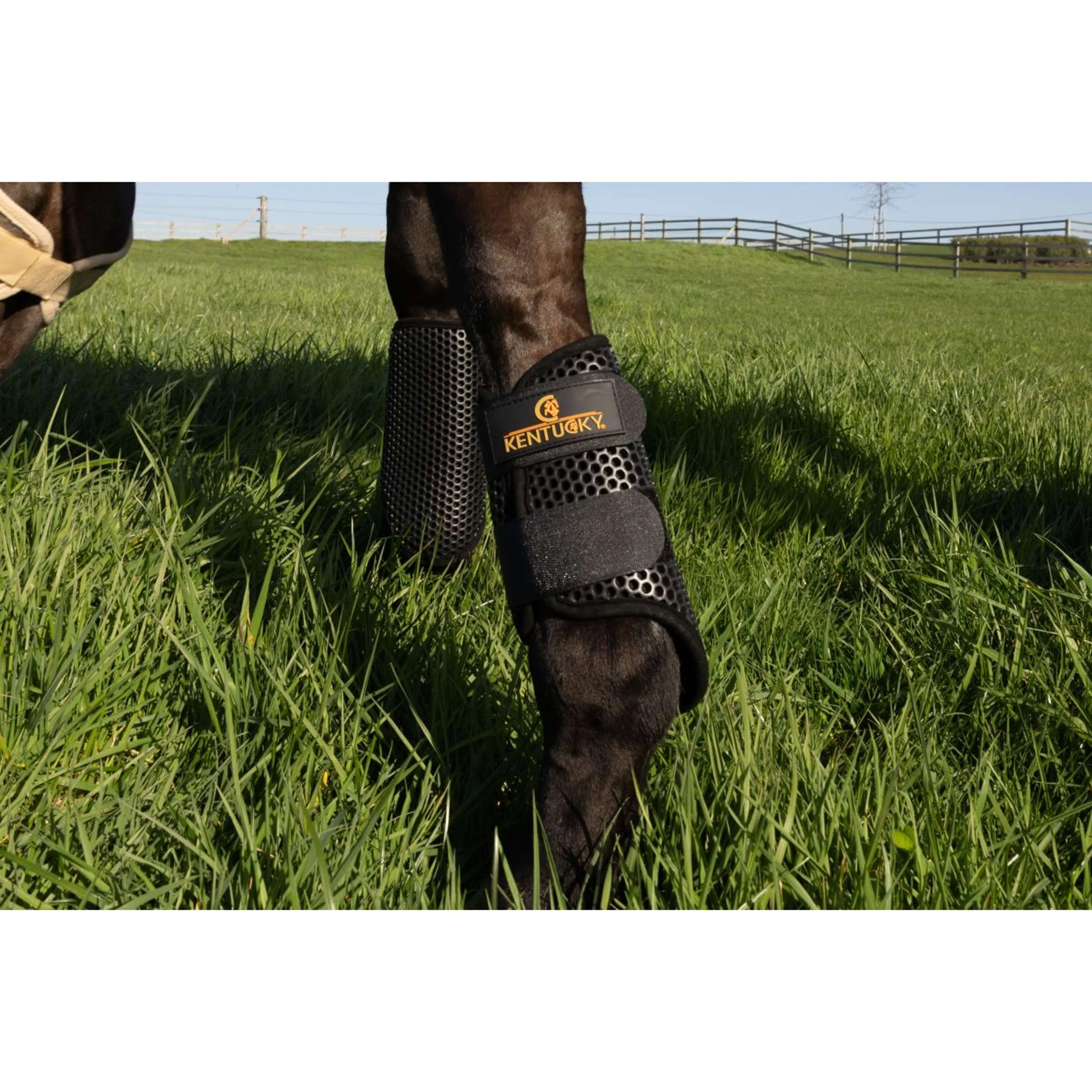 Kentucky Turnout Boots ProAIR - Image 10