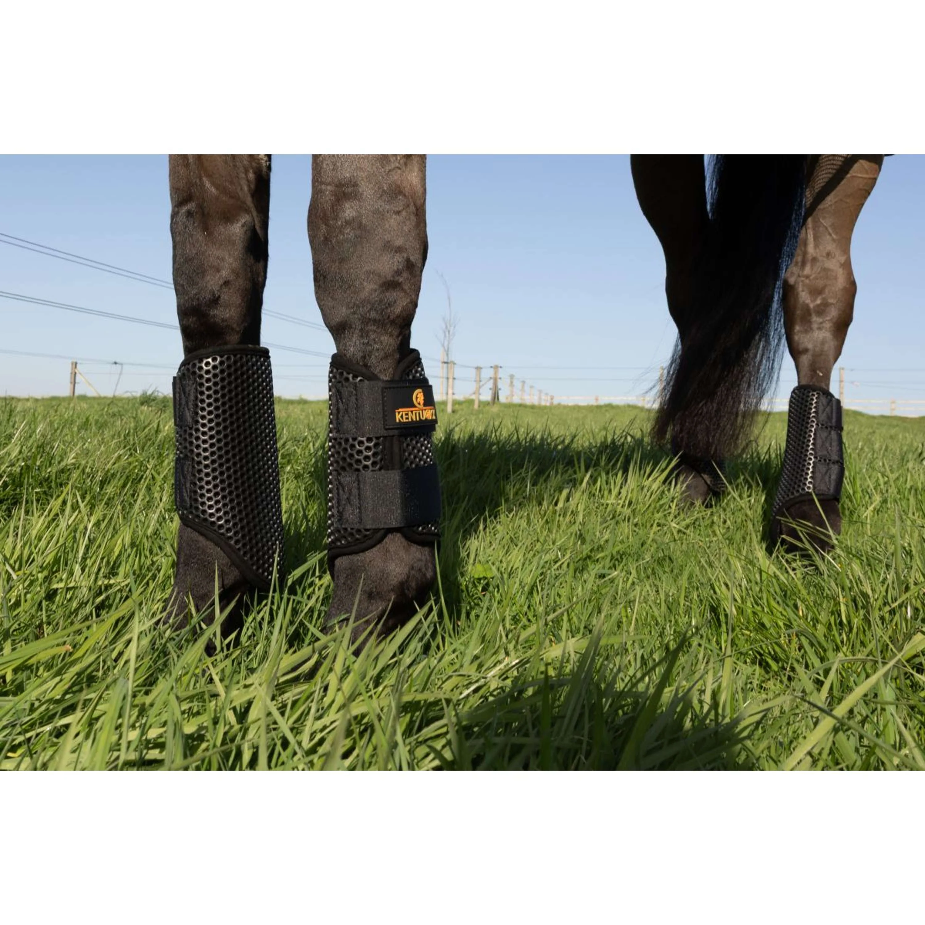 Kentucky Turnout Boots ProAIR - Image 11