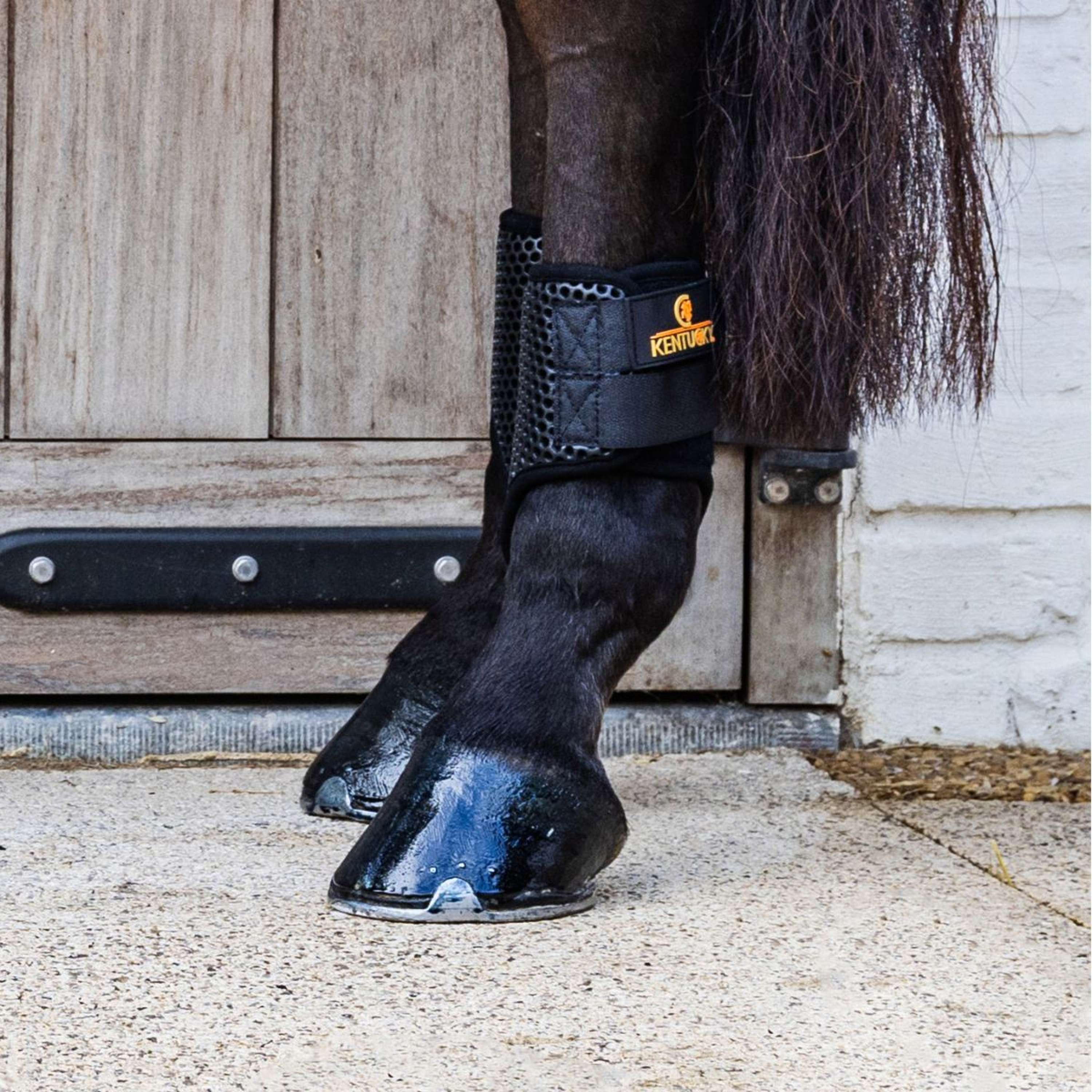 Kentucky Turnout Boots ProAIR Short - Image 2
