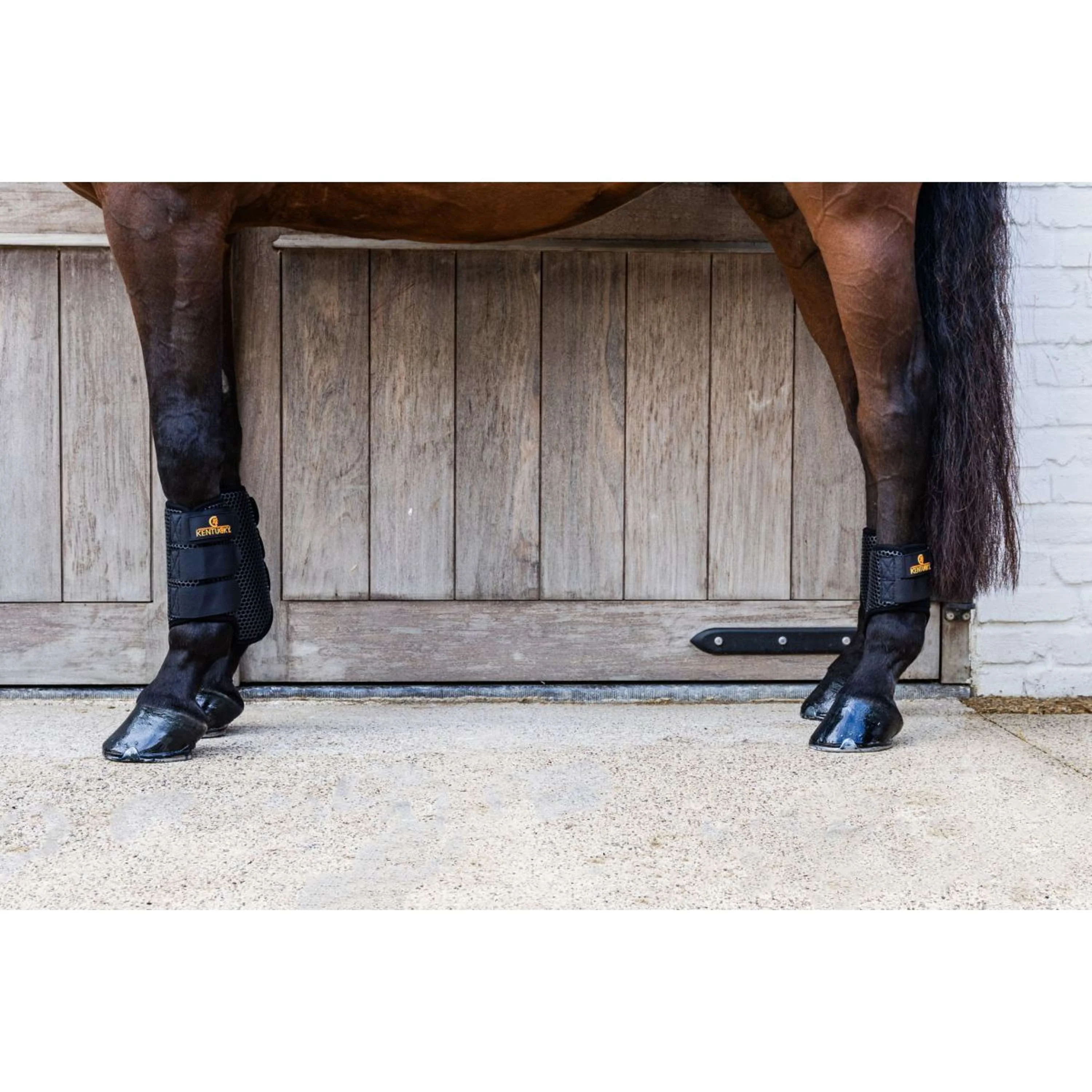 Kentucky Turnout Boots ProAIR Short - Image 6