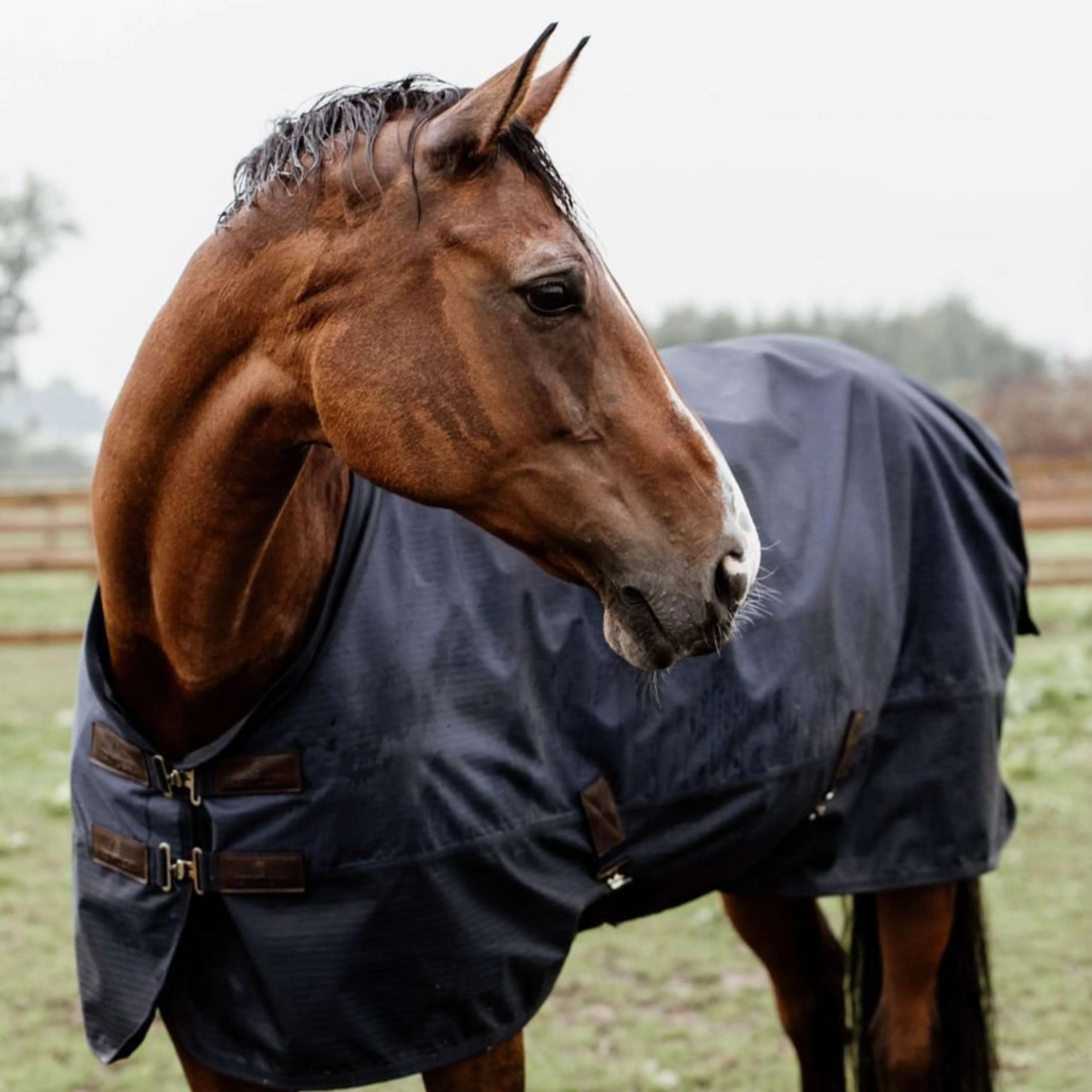 Kentucky Turnout Rug All Weather 0g Marin - Image 2