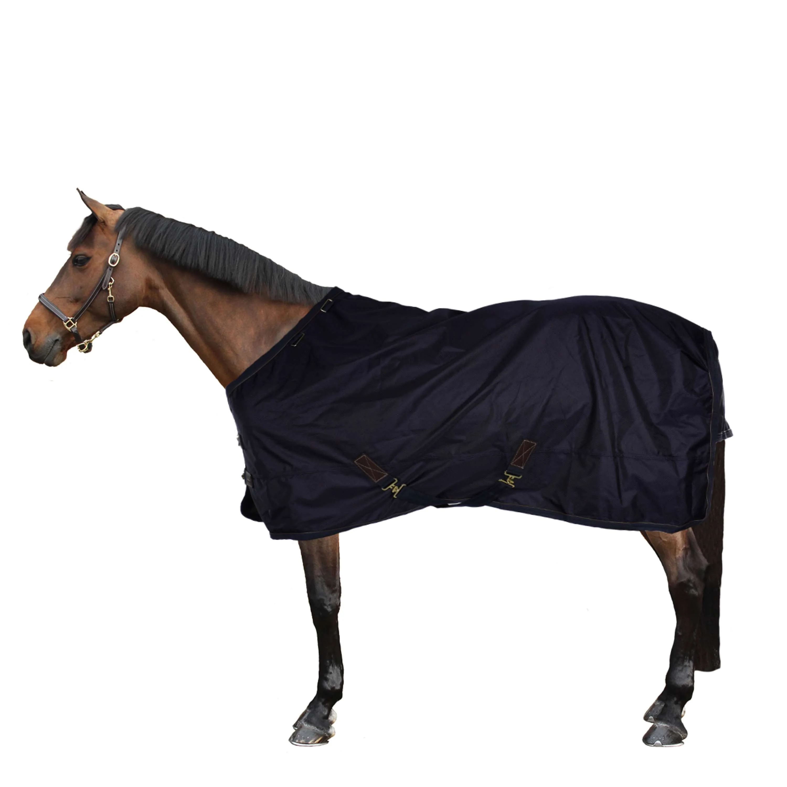 Kentucky Turnout Rug All Weather 300g Marin - Image 7