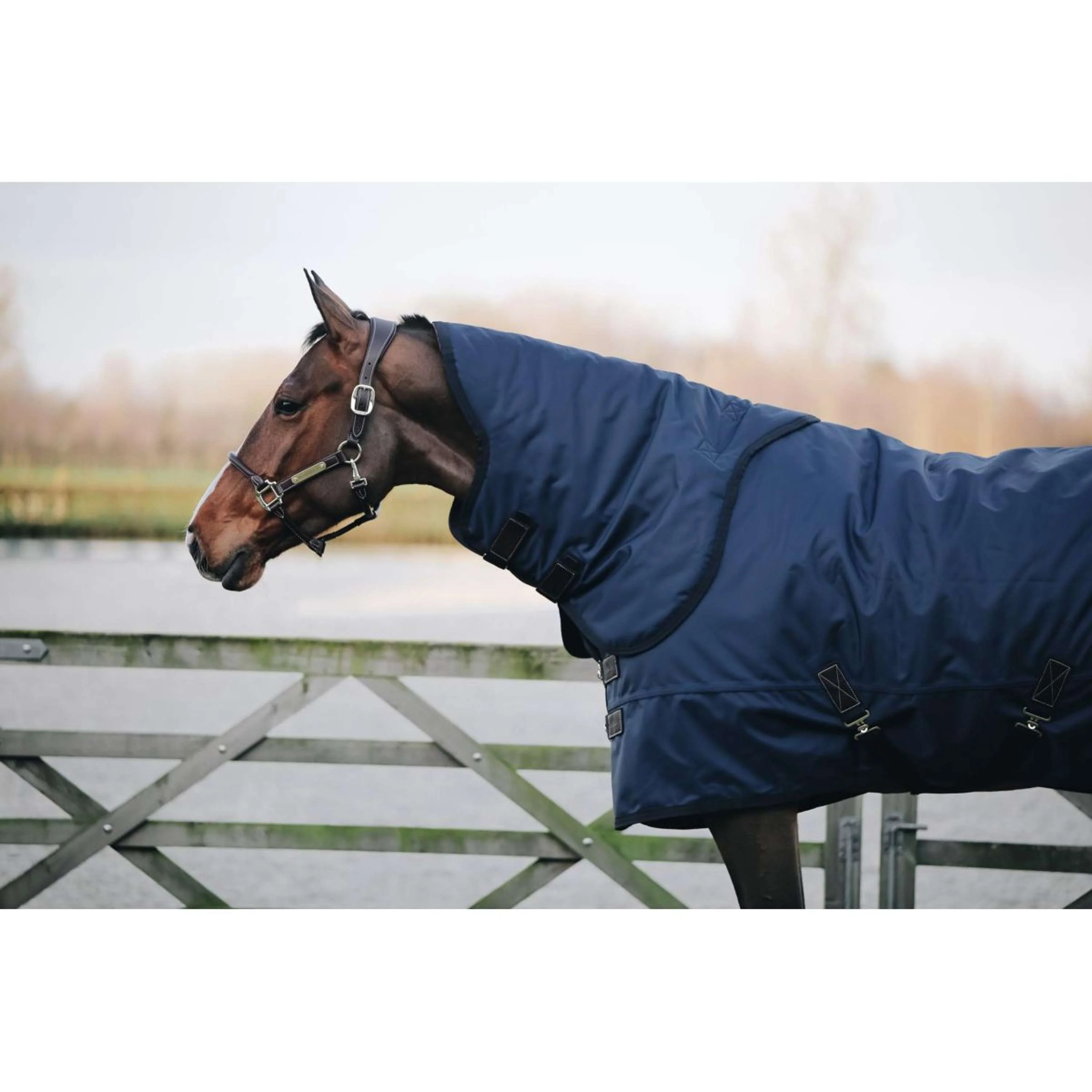Kentucky Turnout Rug All Weather 300g Marin - Image 8