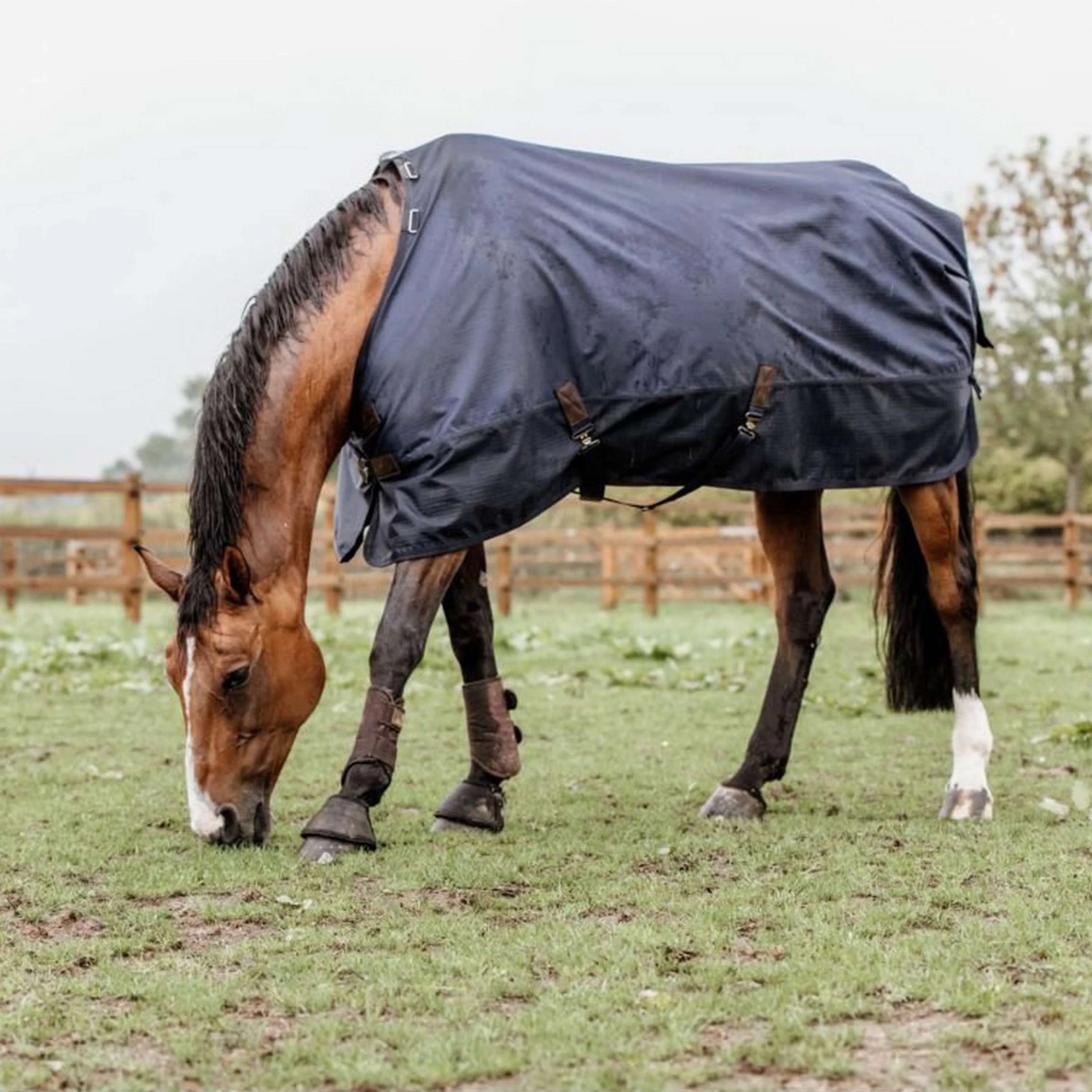 Kentucky Turnout Rug All Weather 300g Marin - Image 9