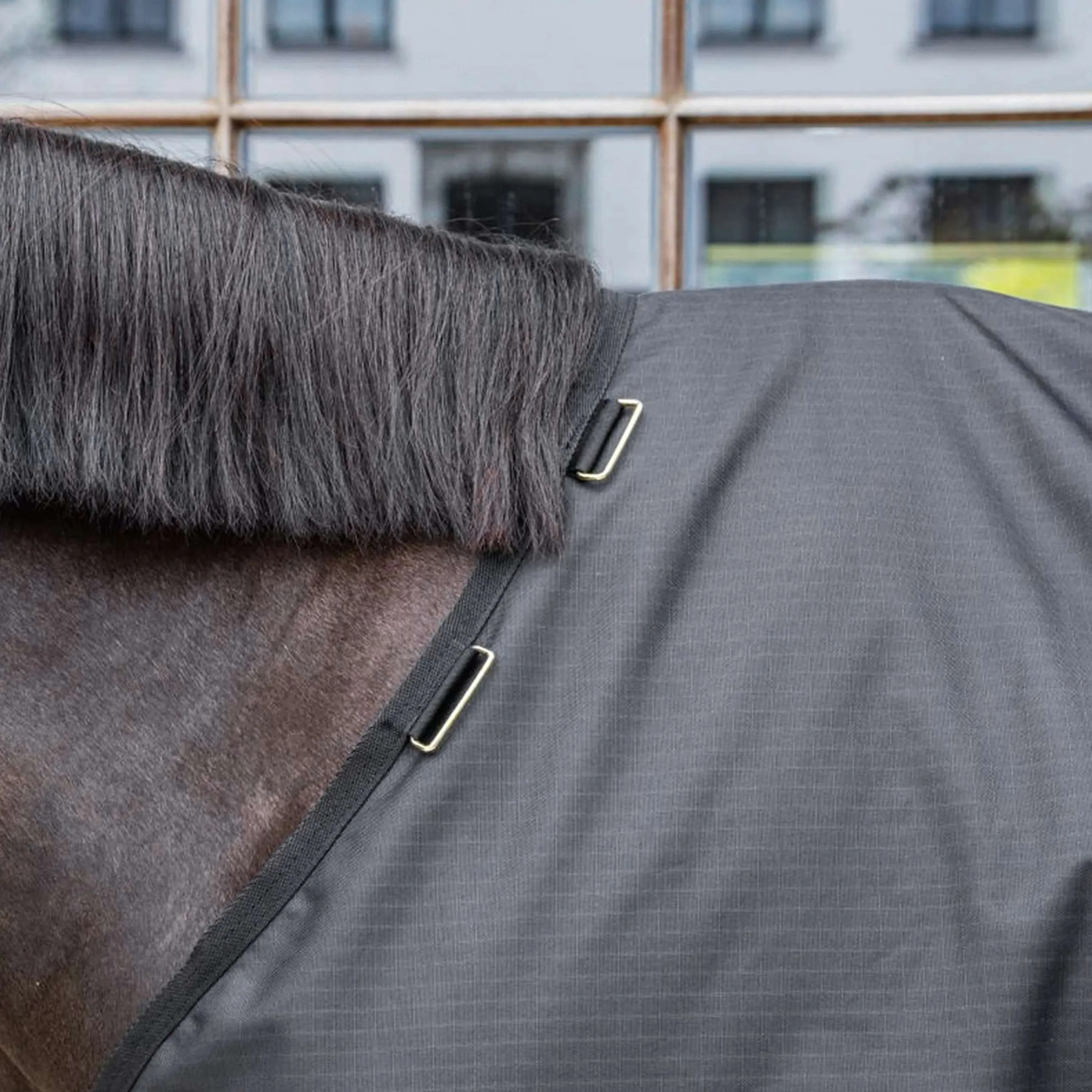 Kentucky Turnout Rug All Weather Waterproof Classic 300g Noir - Image 4