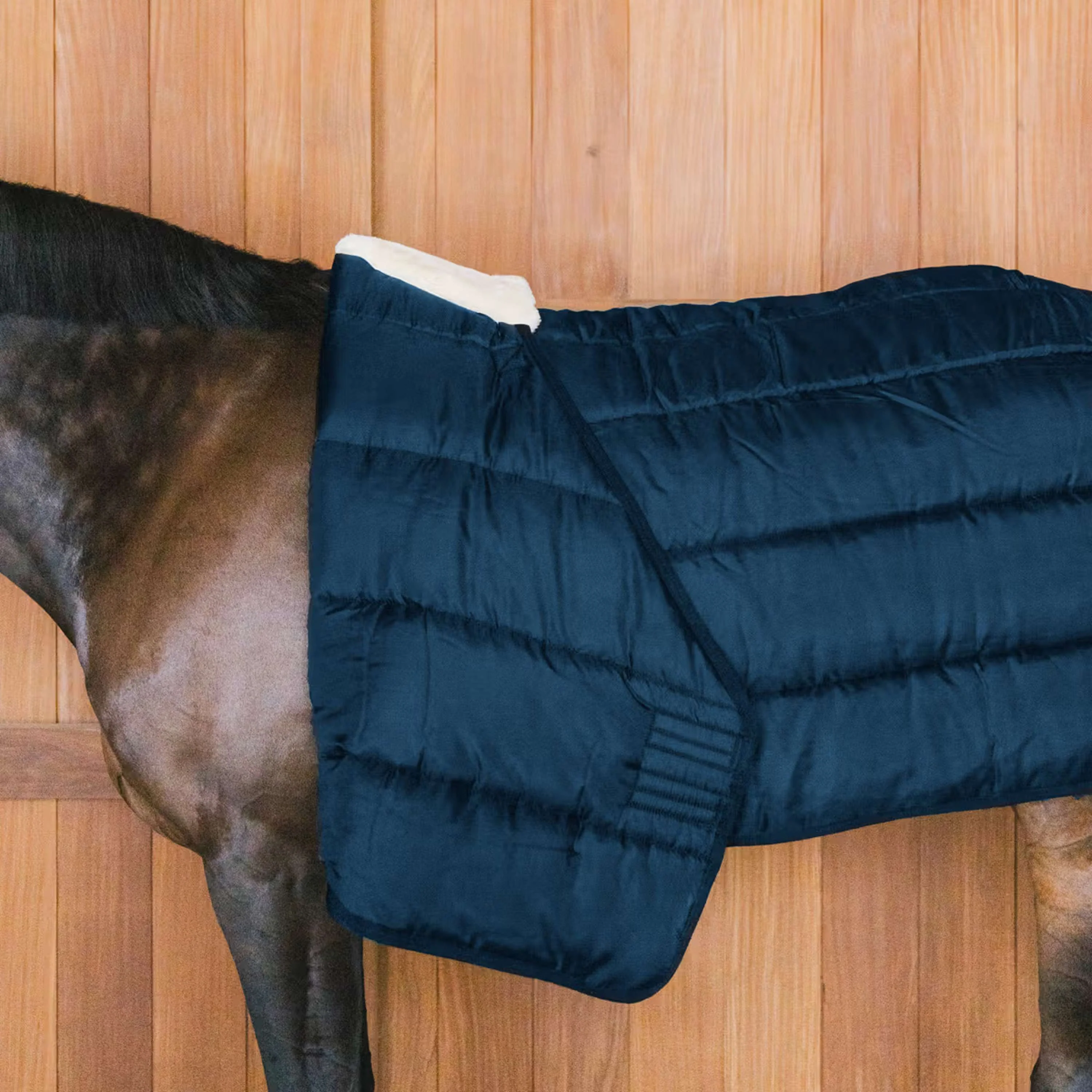 Kentucky Turnout Rug Comfort Liner 200g Marin - Image 2
