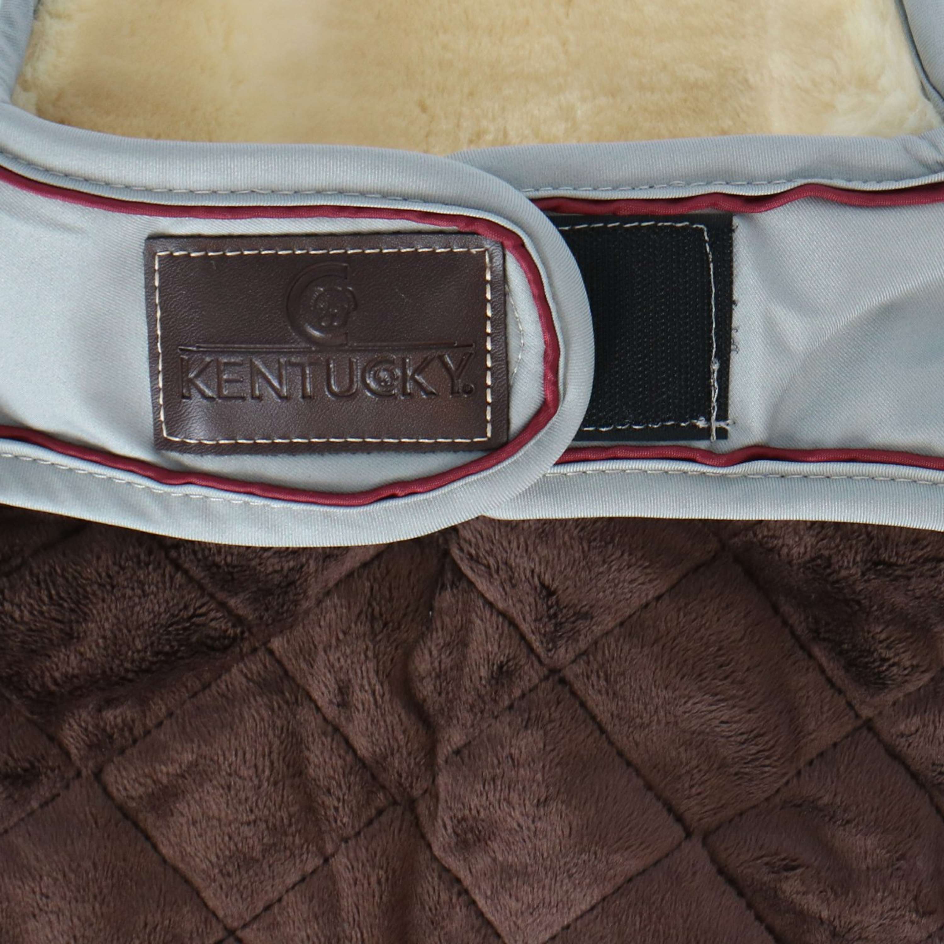 Kentucky Veste pour Chien Waterproof 160g Dusty Blue - Image 8