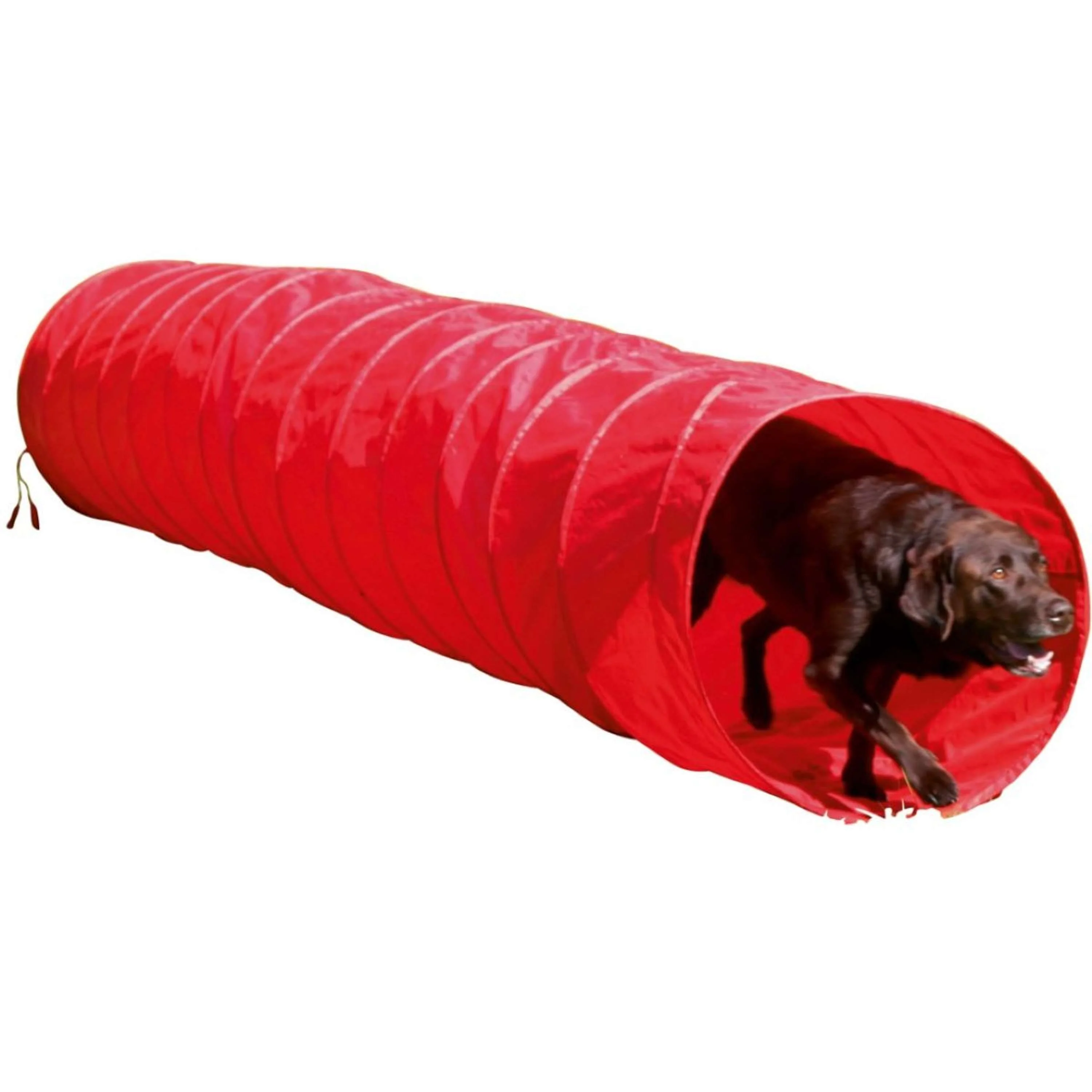 Kerbl Agilité Tunnel Chiens Rouge - Image 9