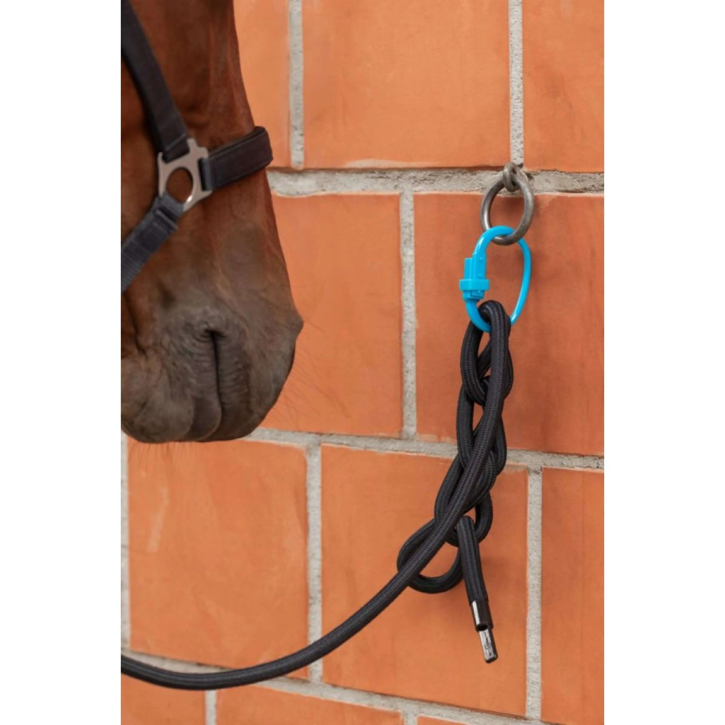 Kerbl Anneau de sécurité Safety Tie-Down Rouge/Noir/Bleu - Image 4