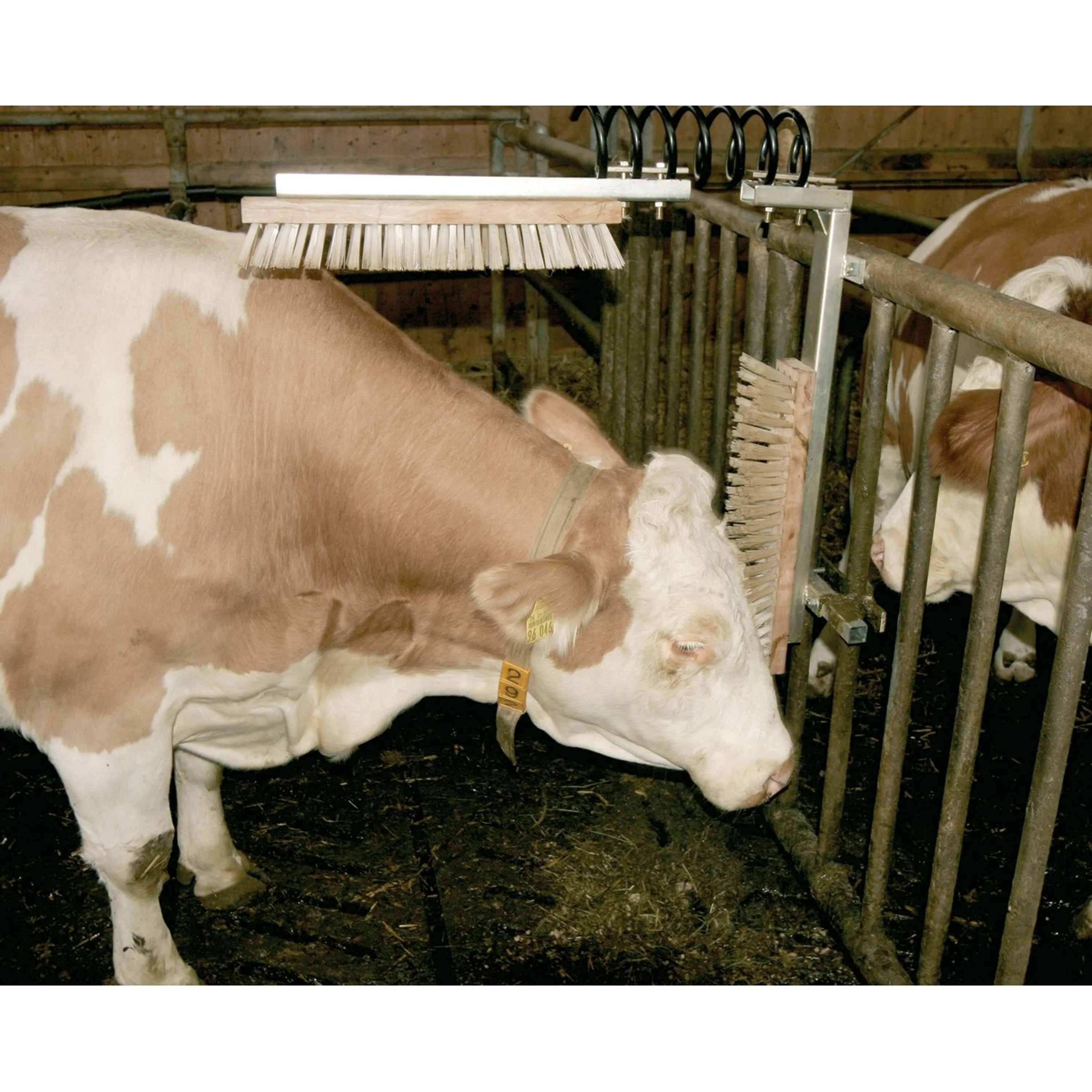 Kerbl Brosse pour Bétail Texas - Image 2