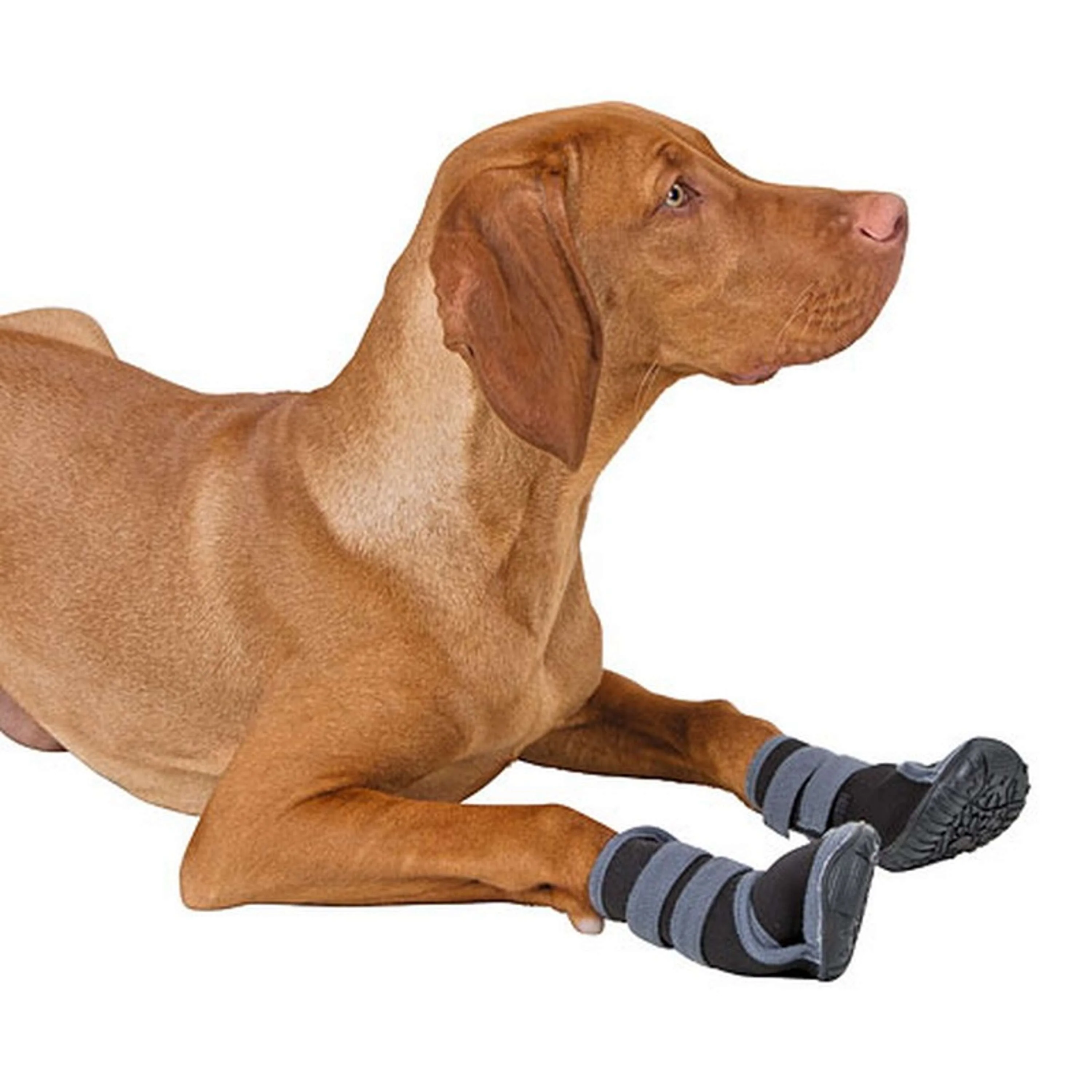 Kerbl Chaussures pour Chien Active Noir/Gris - Image 3