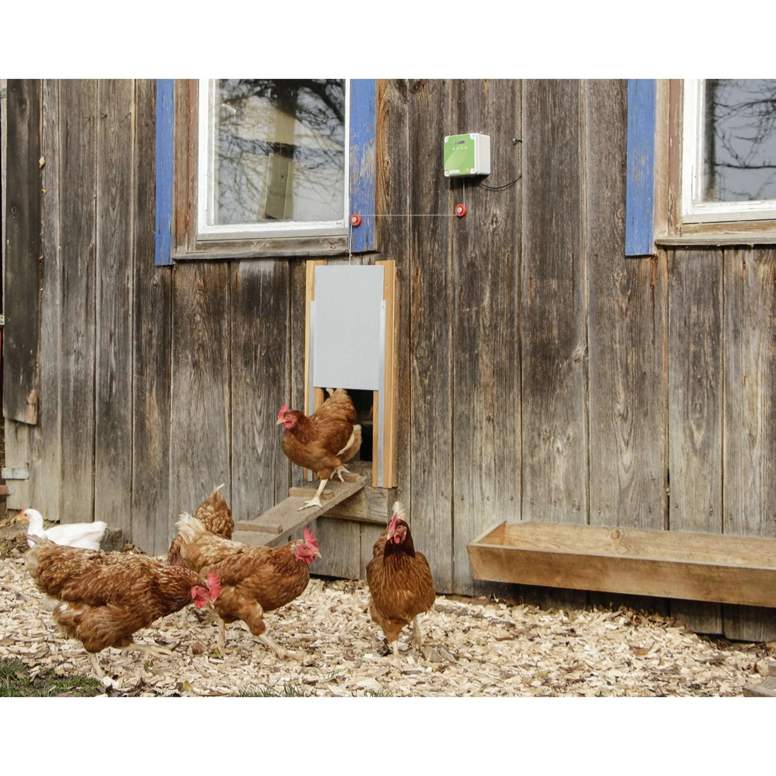 Kerbl Contrôleur Automatique Porte de poulet Gris/Vert - Image 4