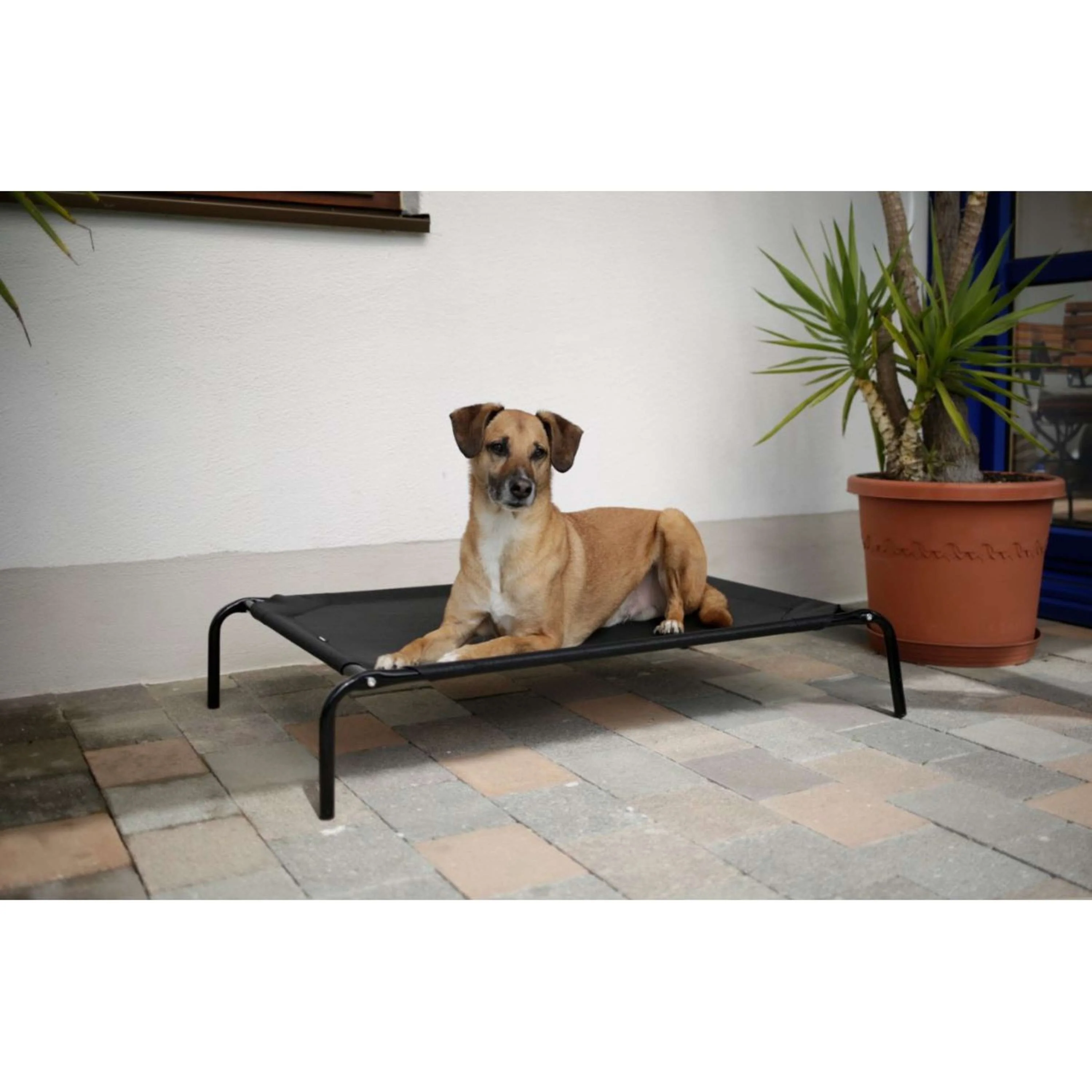 Kerbl Couchage pour Chien Vacation Noir - Image 2