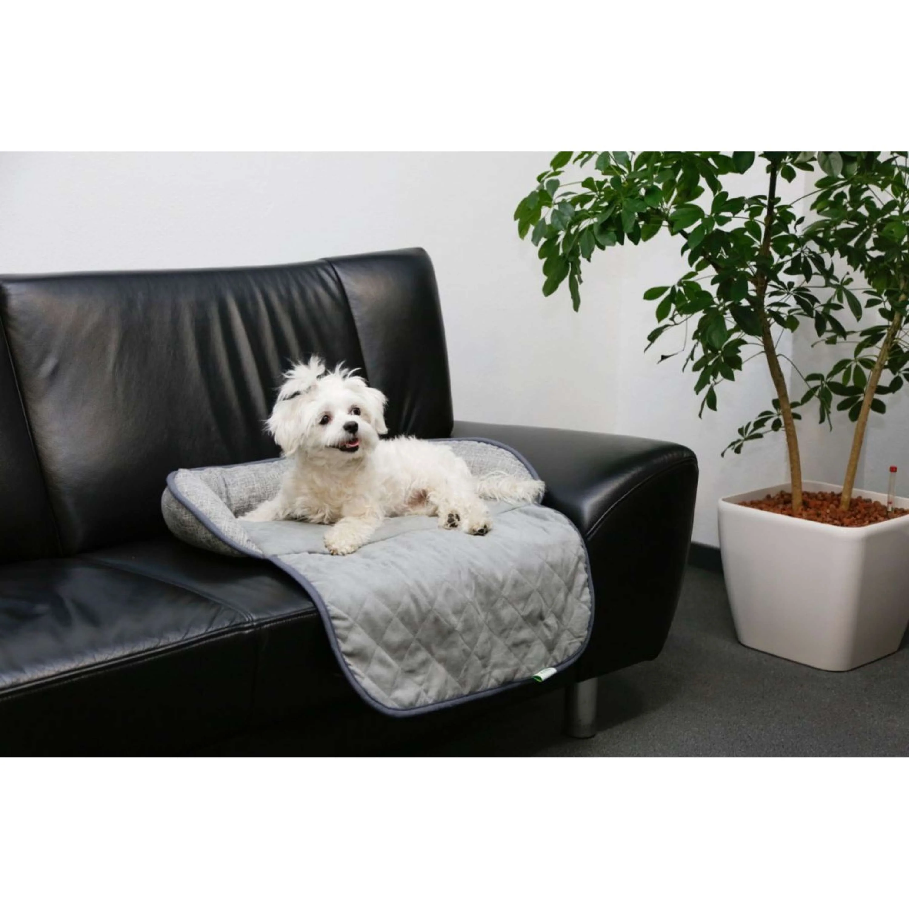 Kerbl Coussin Emalia Gris - Image 2