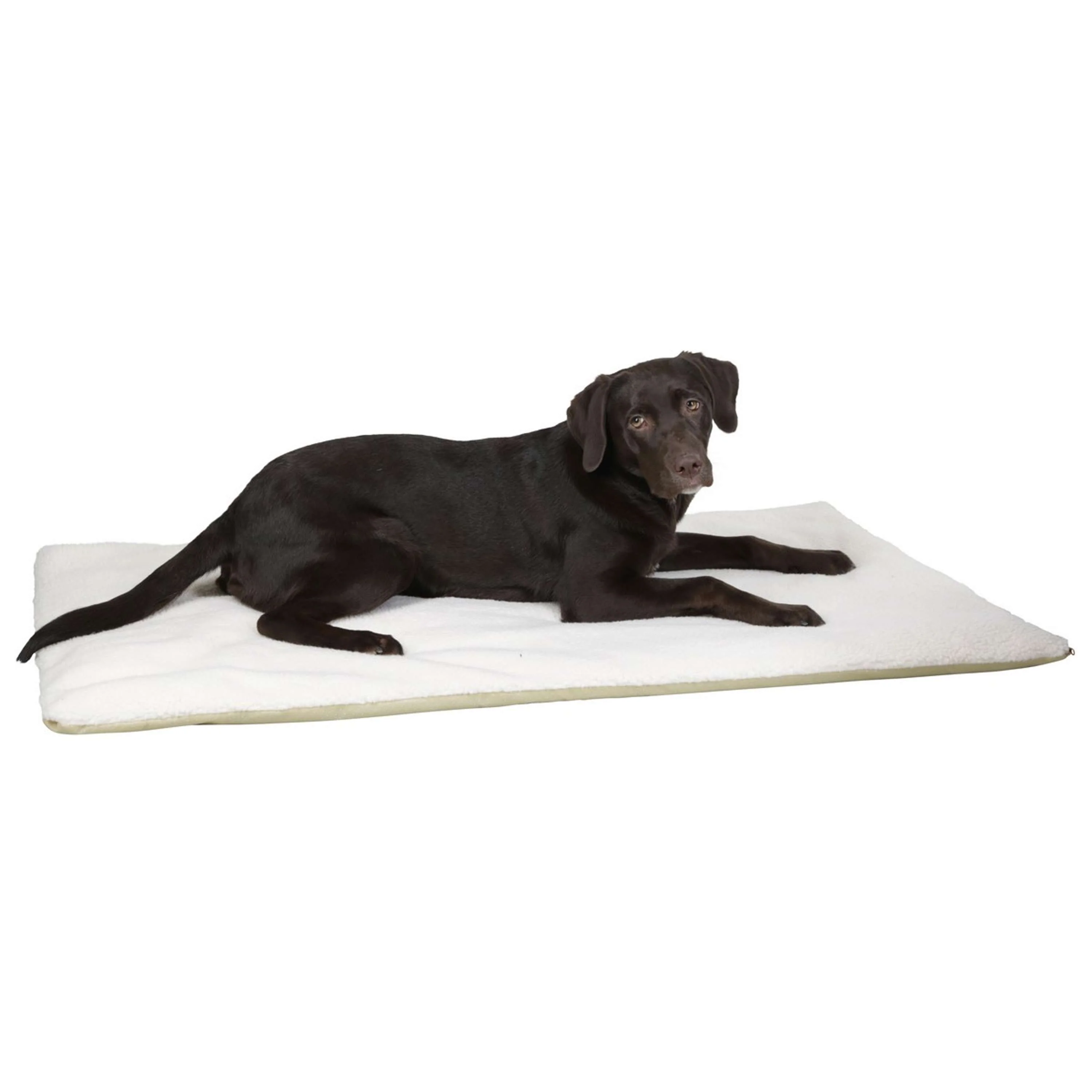 Kerbl Coussin pour Chien Beige - Image 3