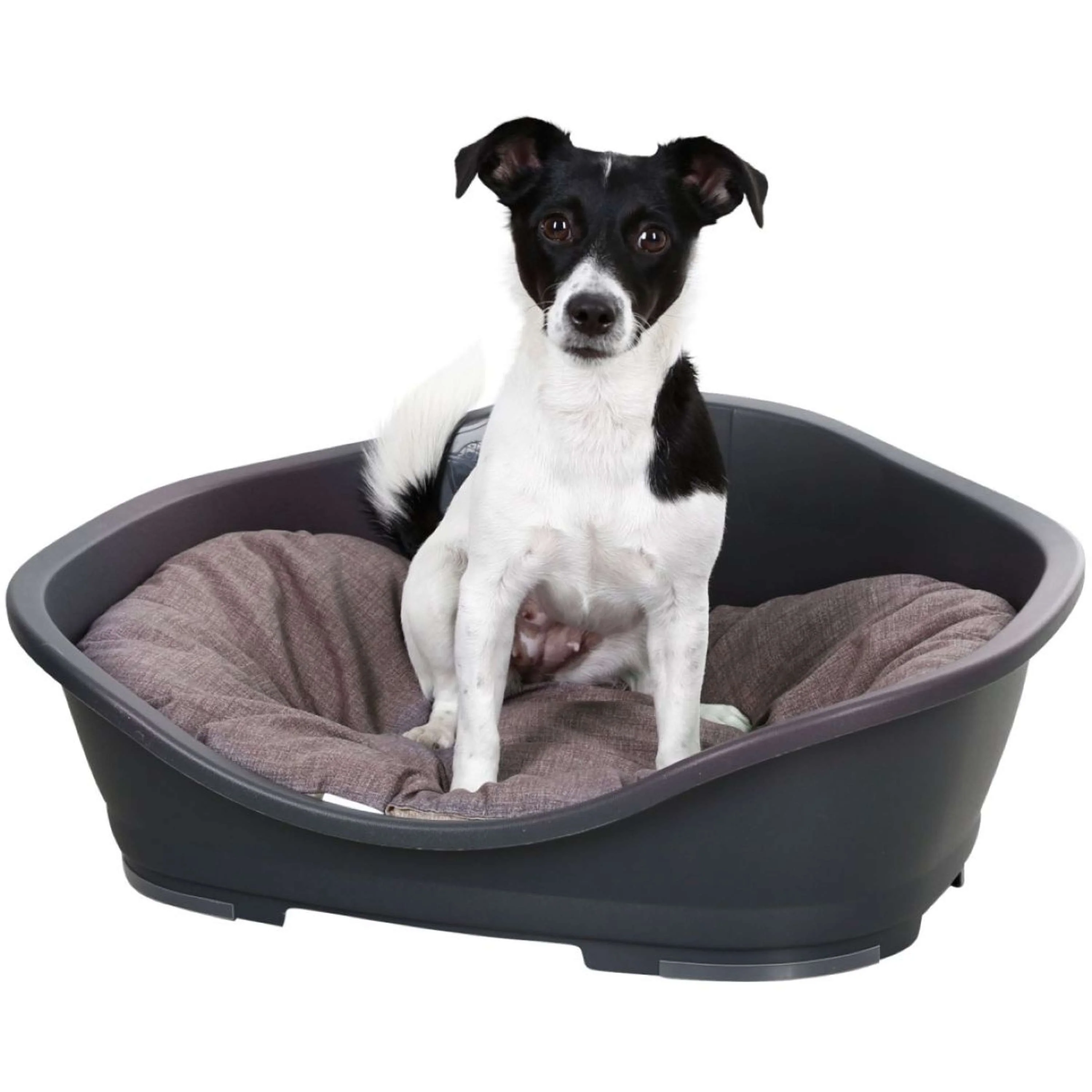 Kerbl Coussin pour Chien Loneta Maaron/Gris - Image 4
