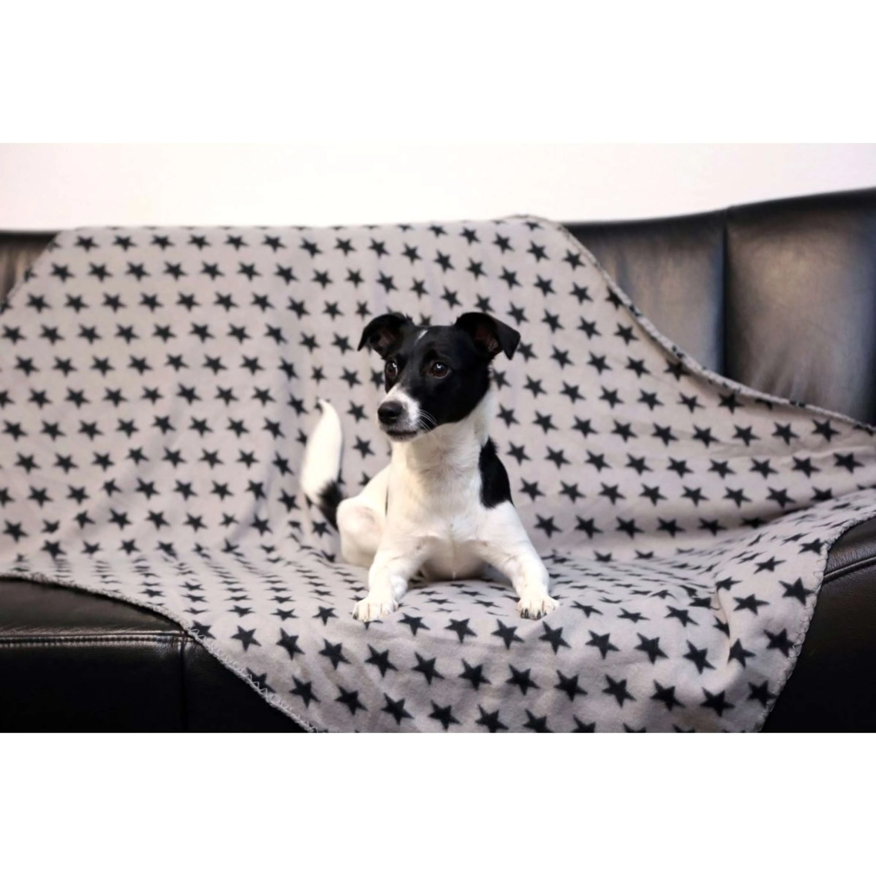 Kerbl Couverture pour Chien Stella Gris - Image 2