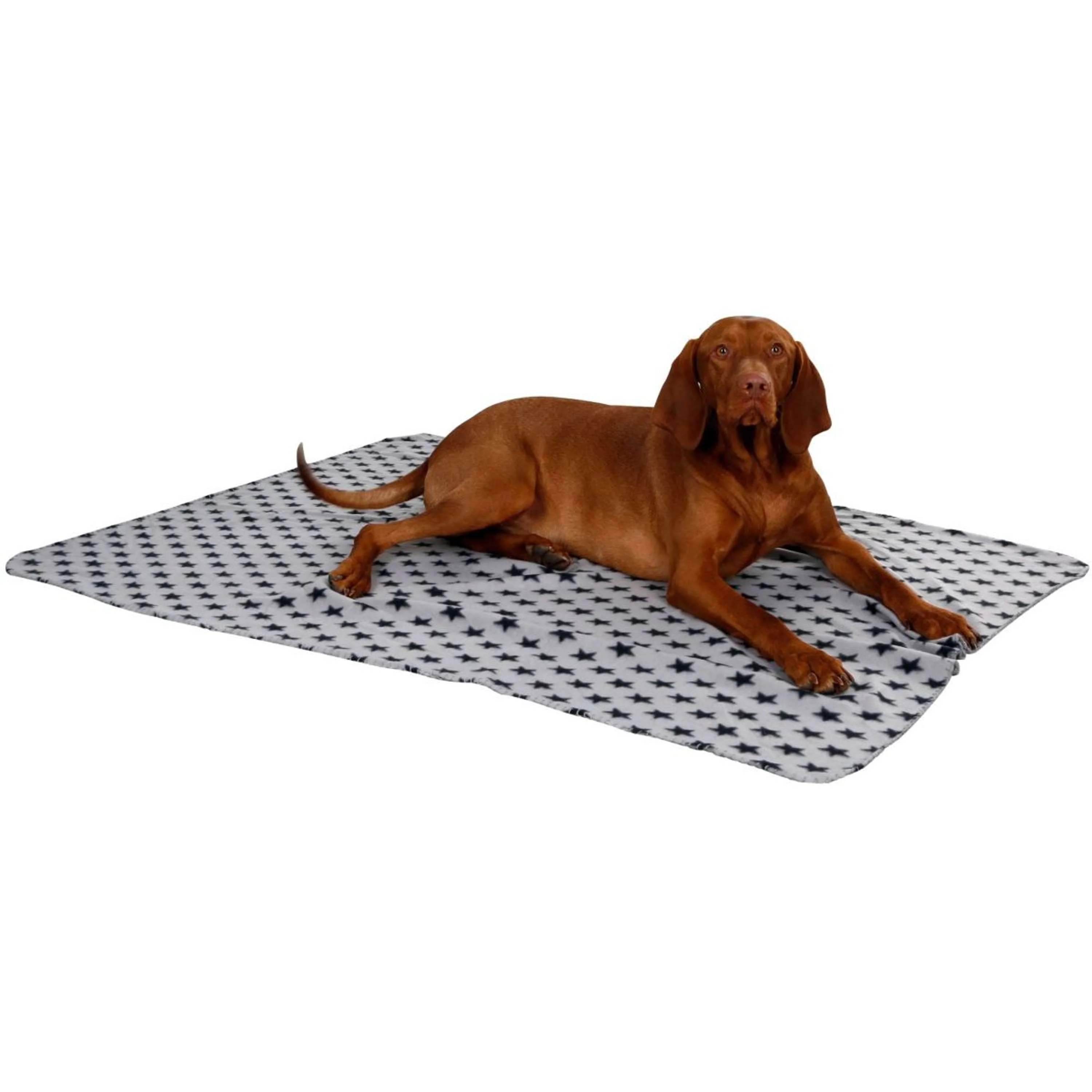 Kerbl Couverture pour Chien Stella Gris - Image 7