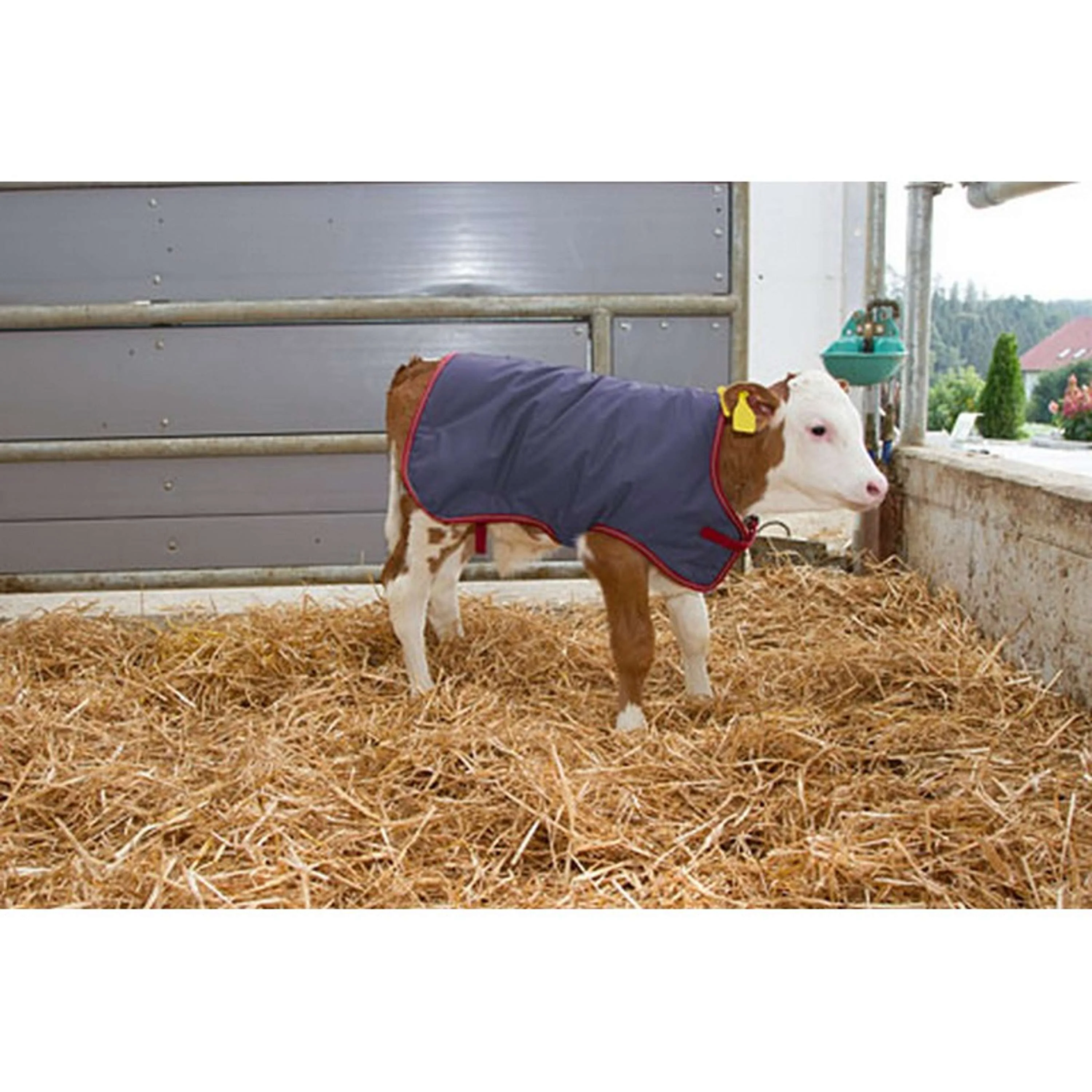 Kerbl Couverture pour Veau Thermoplus - Image 2