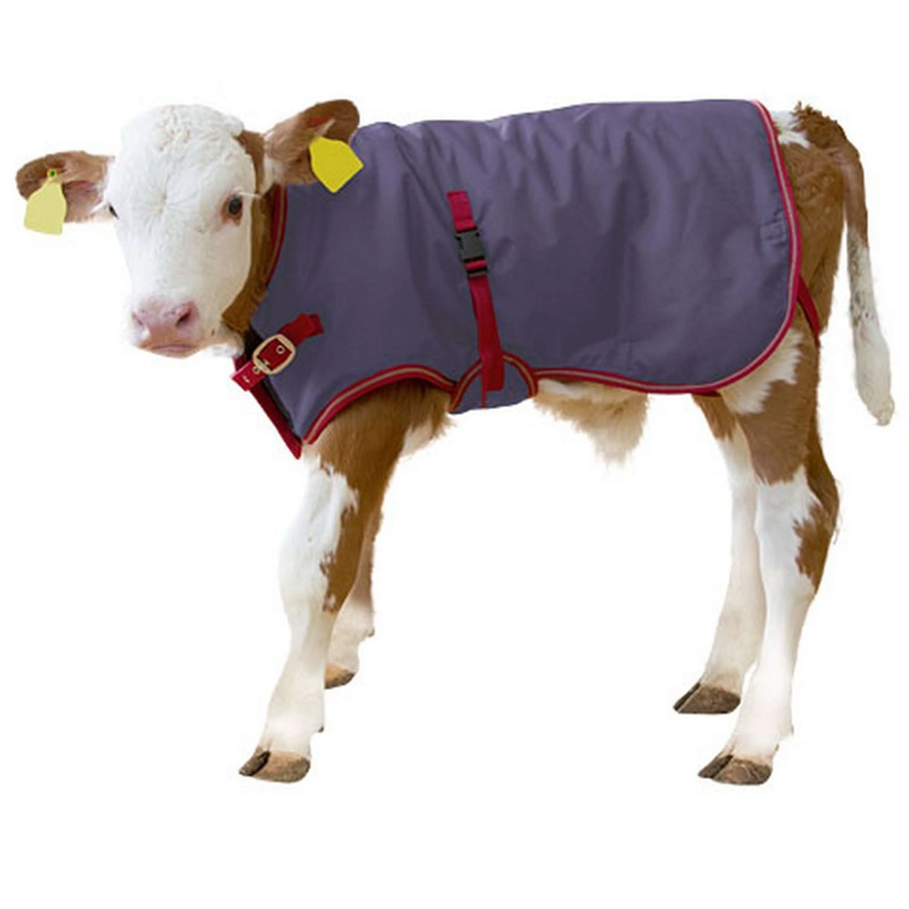 Kerbl Couverture pour Veau Thermoplus - Image 3