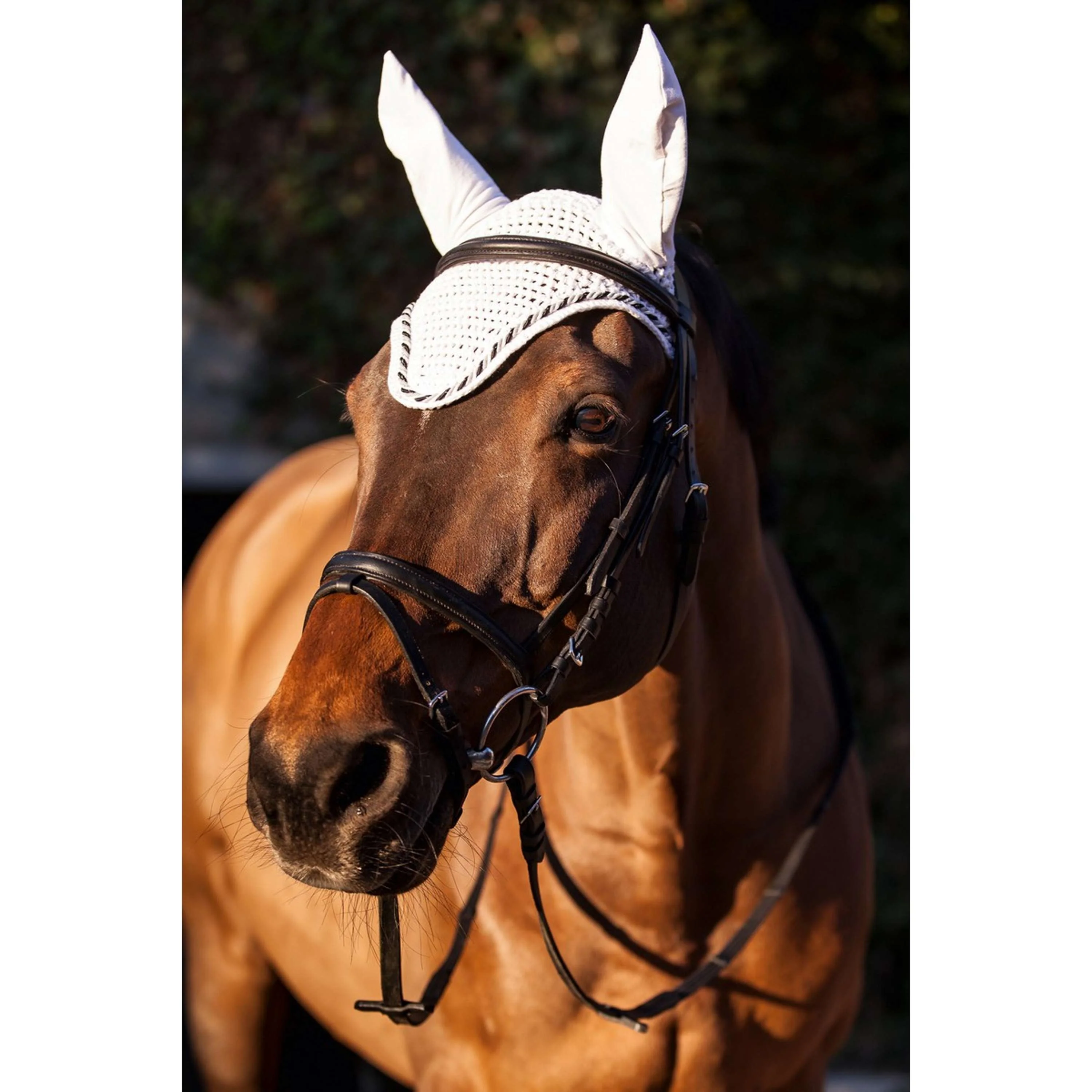 Kerbl Filet Anti-Mouches Classic Blanc - Image 2