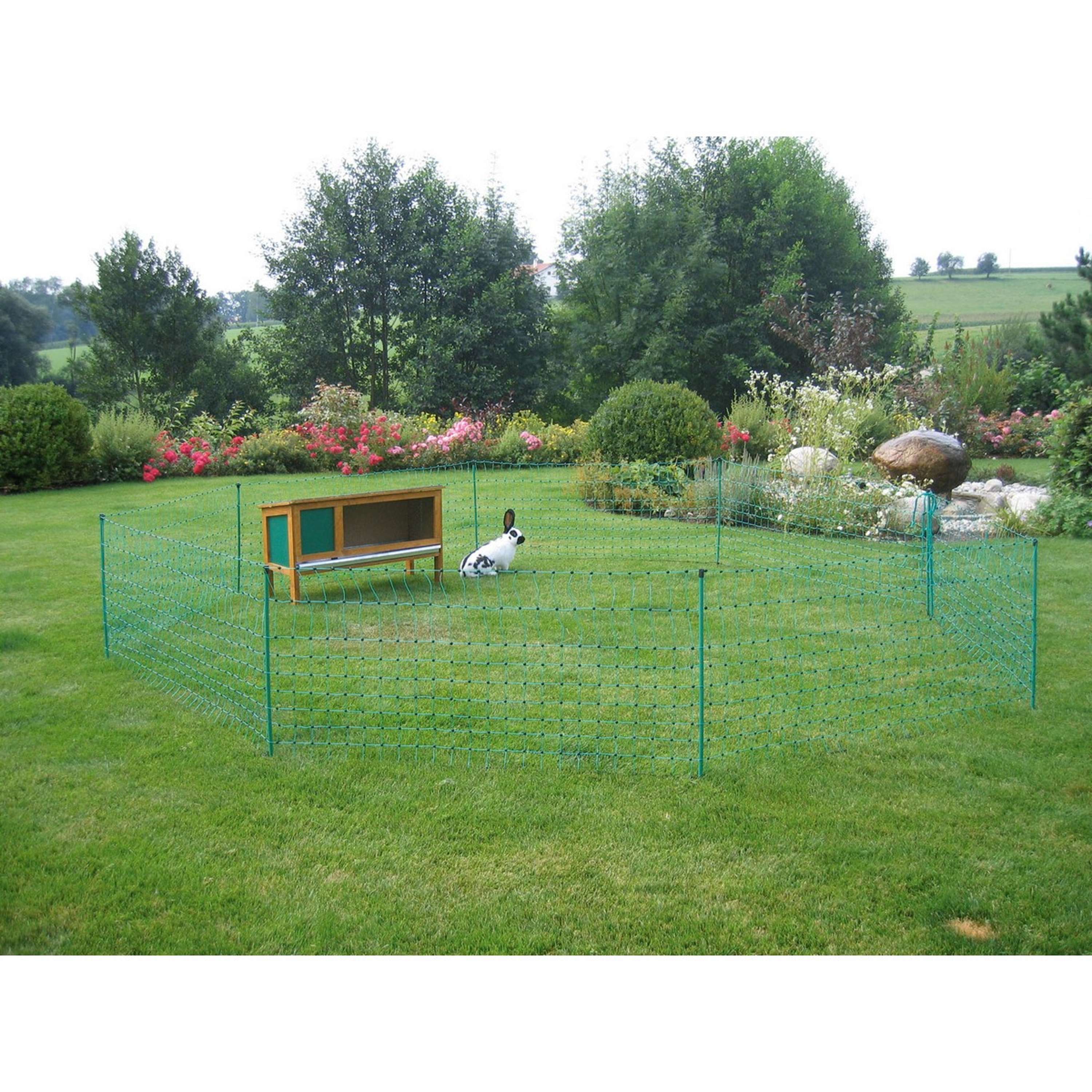 Kerbl Filet pour Lapin Double Vert - Image 3