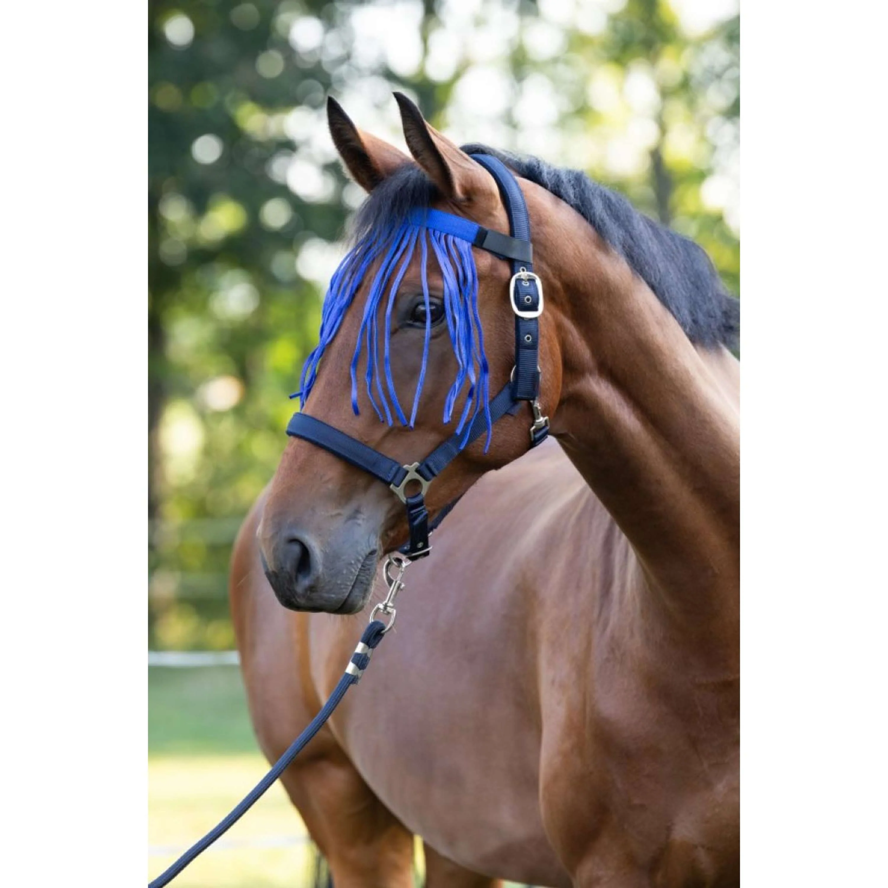 Kerbl Frange anti-mouches avec scratch Bleu - Image 2
