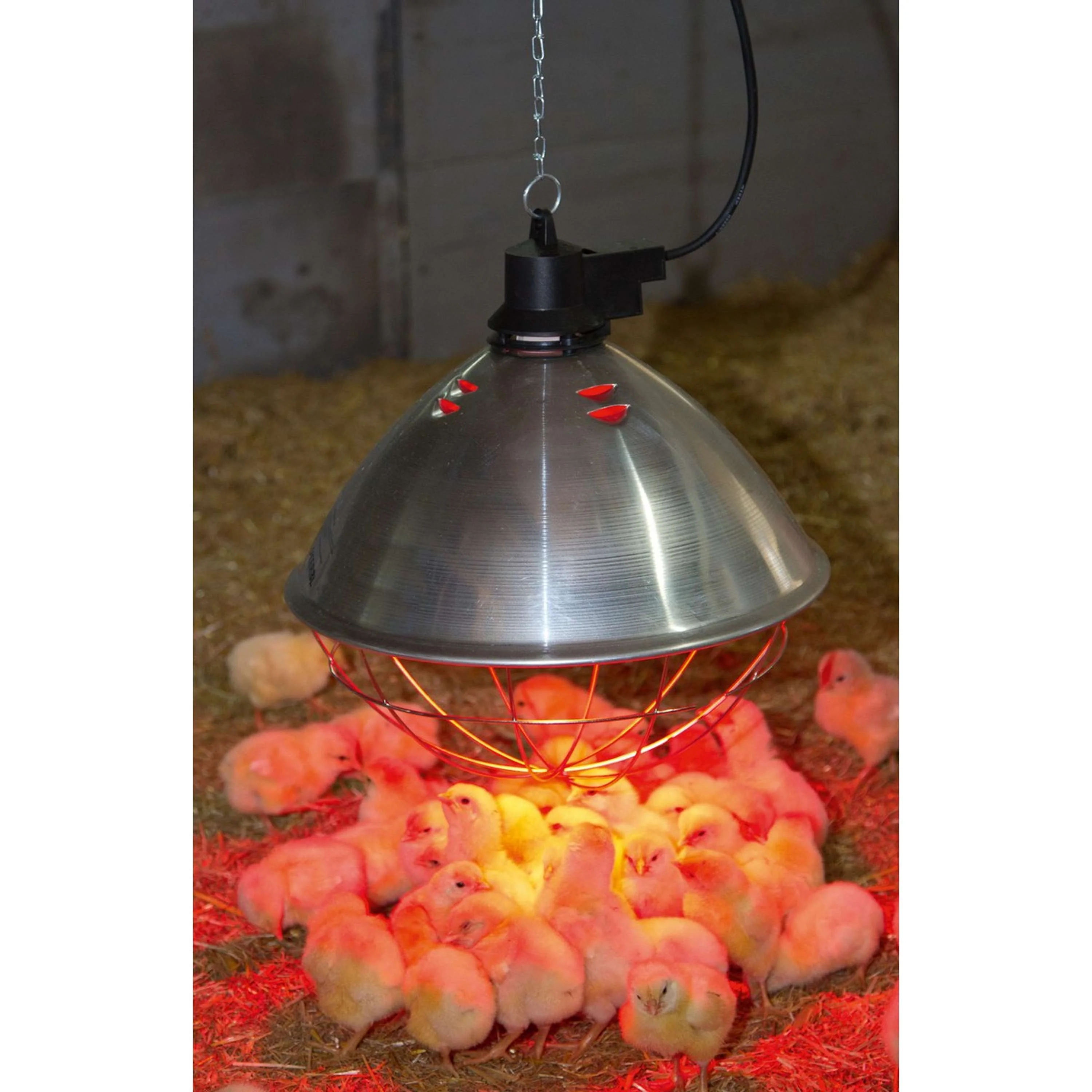 Kerbl Lampe Chauffante Infrarouge - Image 3
