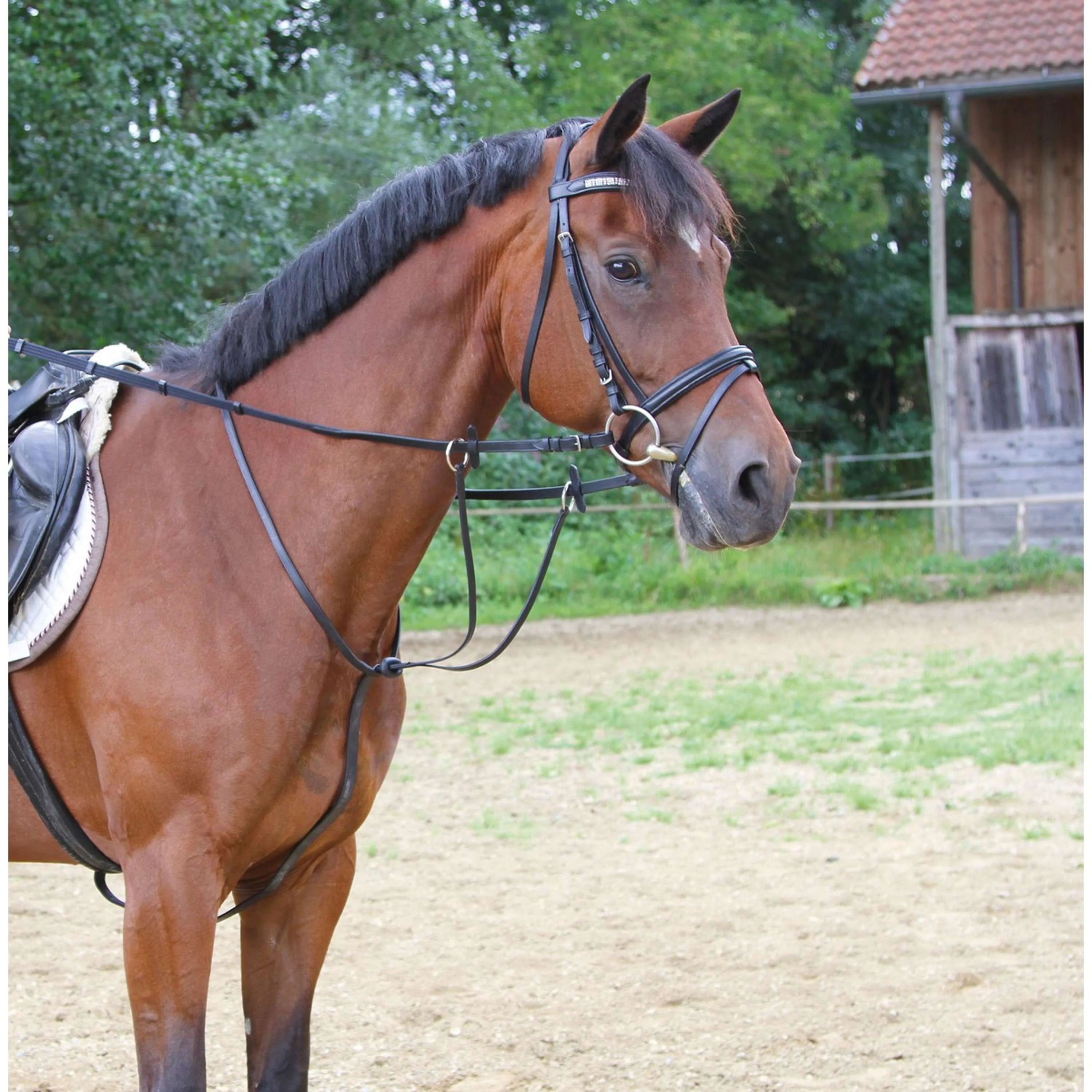 Kerbl Martingale en Cuir Noir - Image 2