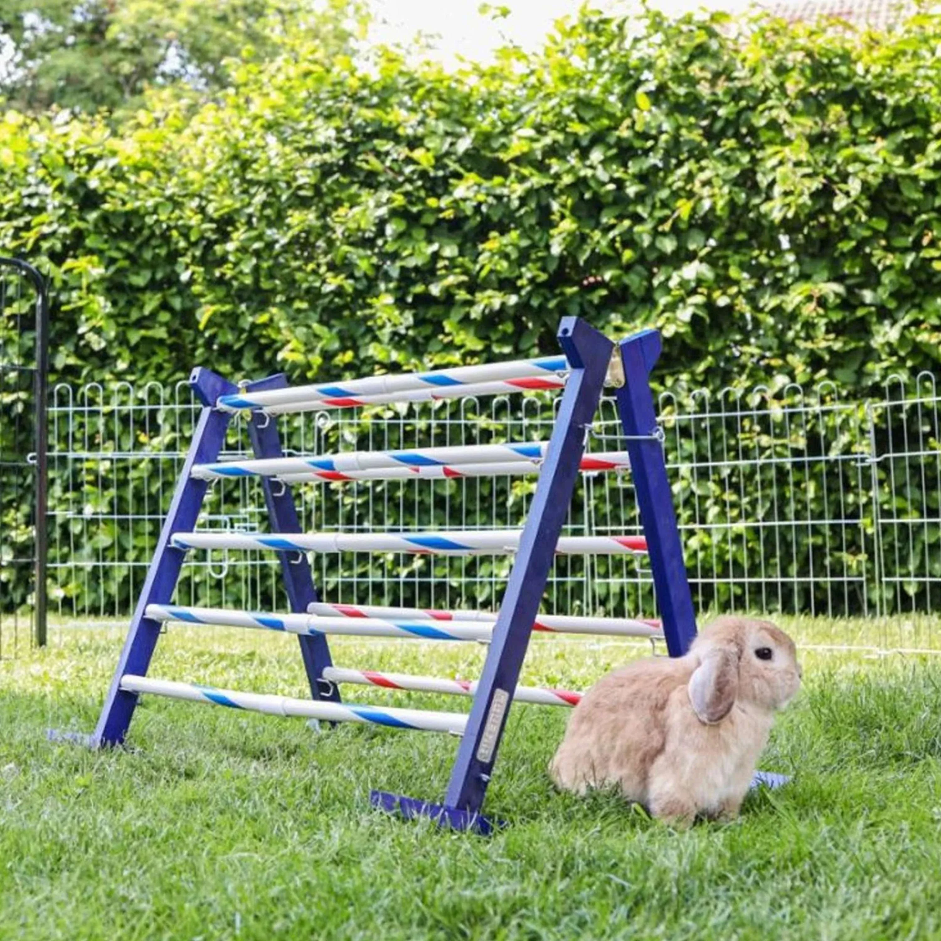 Kerbl Obstacle combiné Agility 2 - Image 2