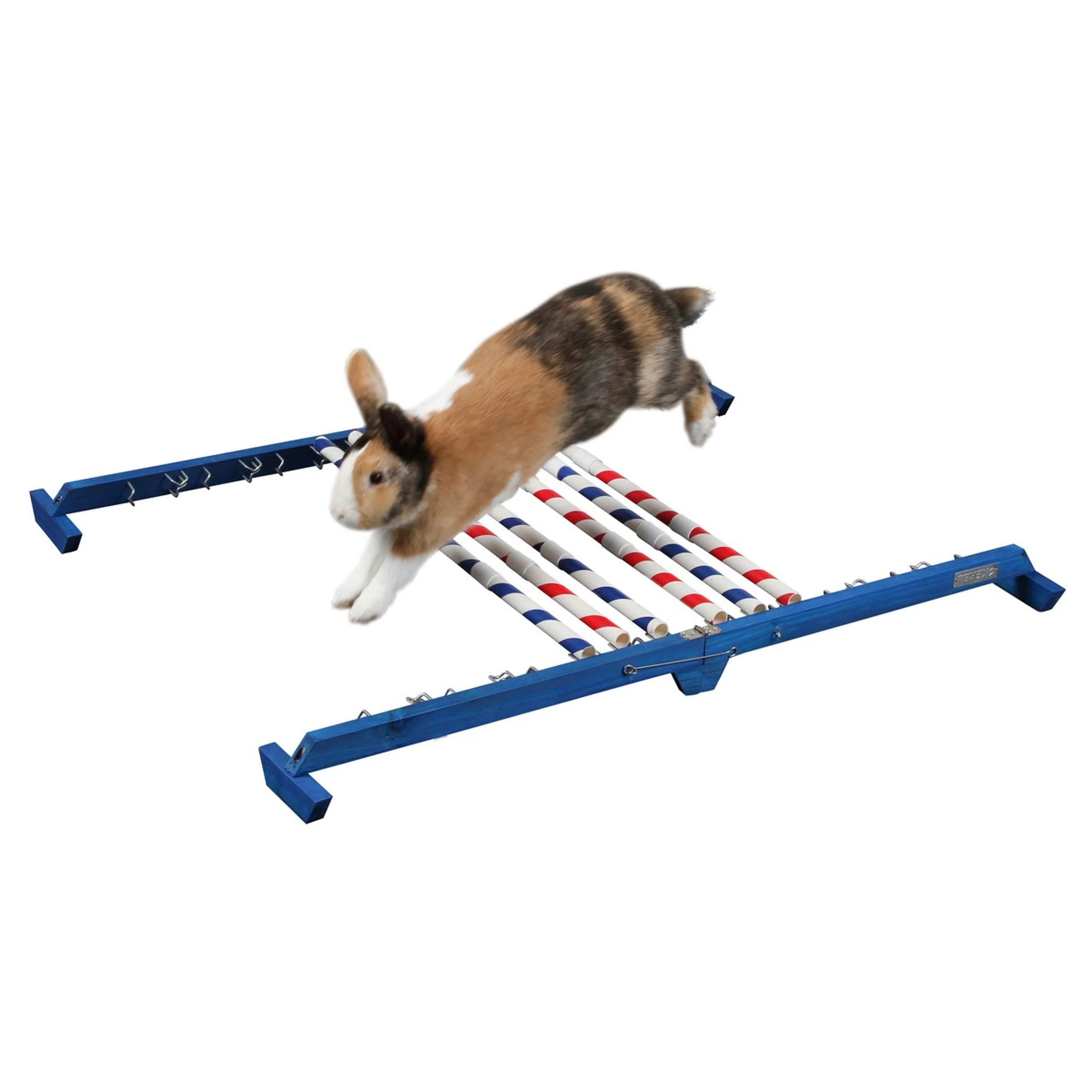 Kerbl Obstacle combiné Agility 2 - Image 3