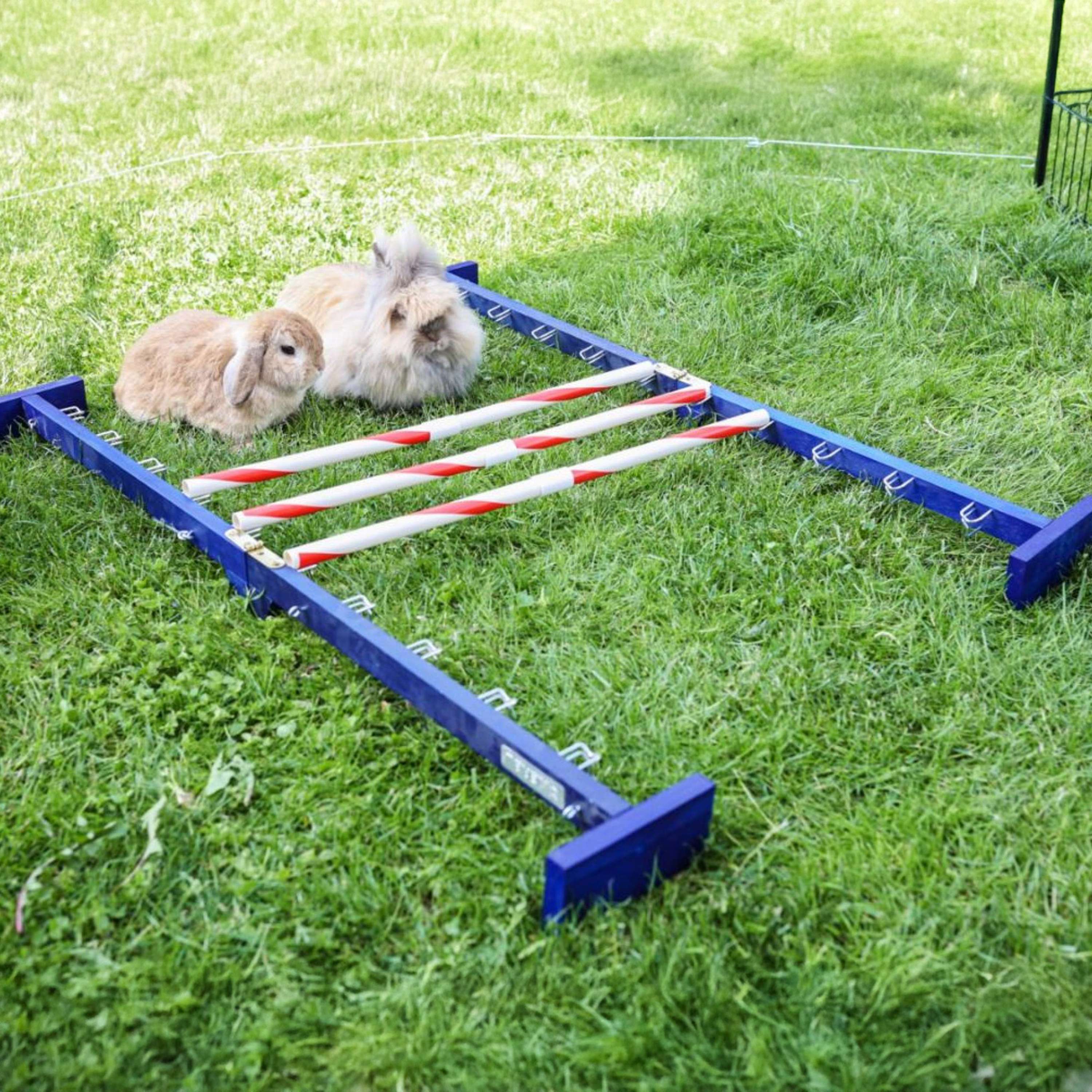 Kerbl Obstacle combiné Agility 2 - Image 6
