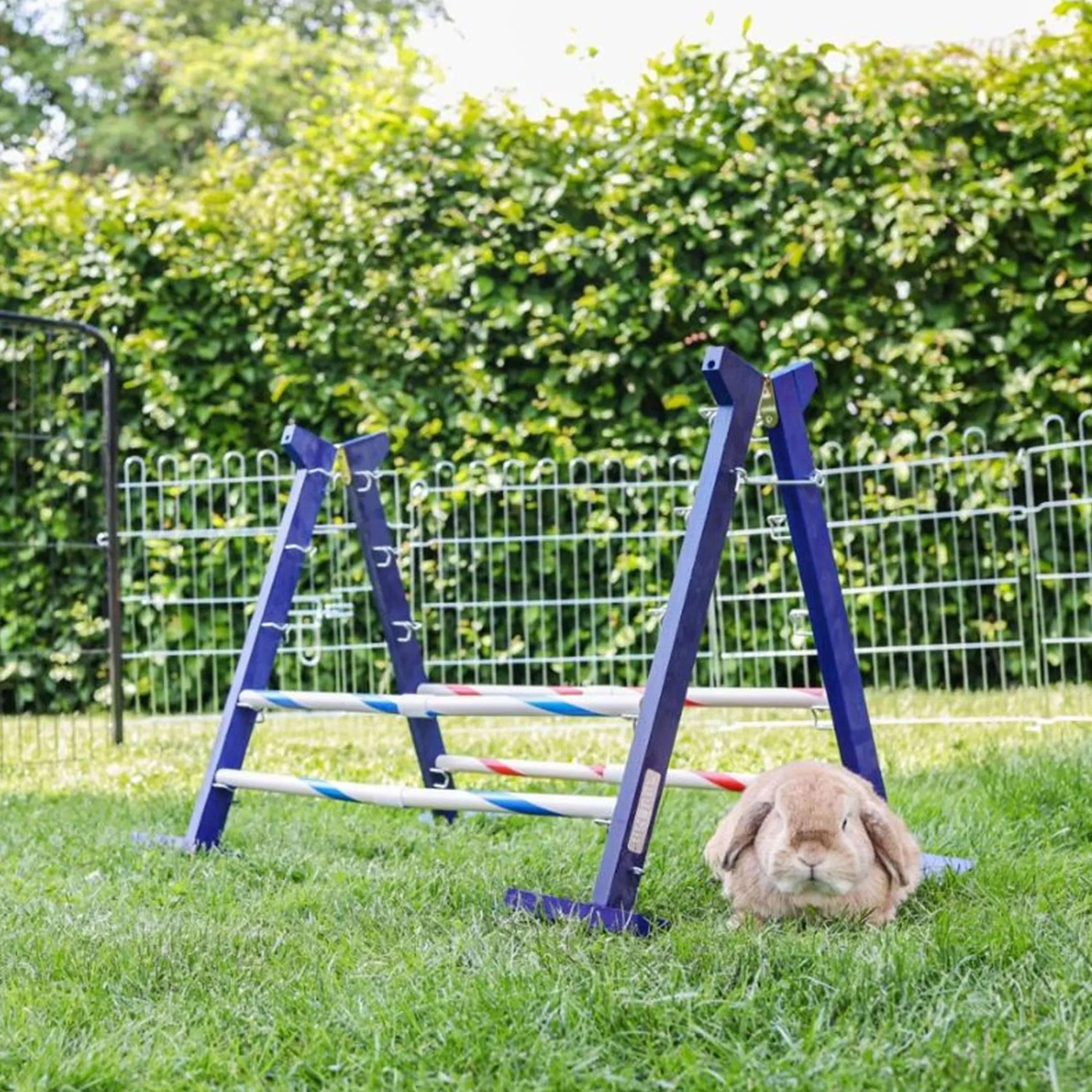Kerbl Obstacle combiné Agility 2 - Image 7