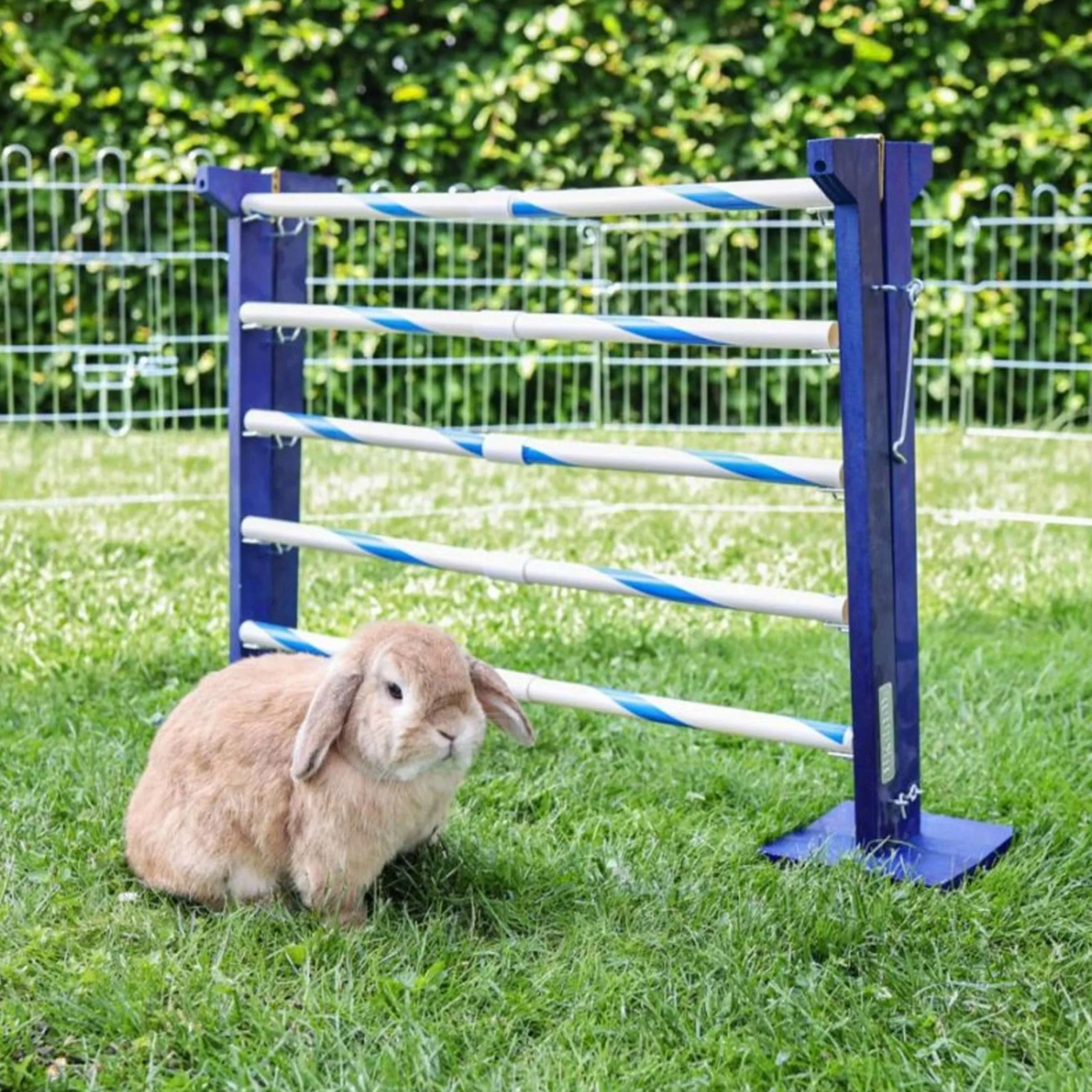 Kerbl Obstacle combiné Agility 2 - Image 8