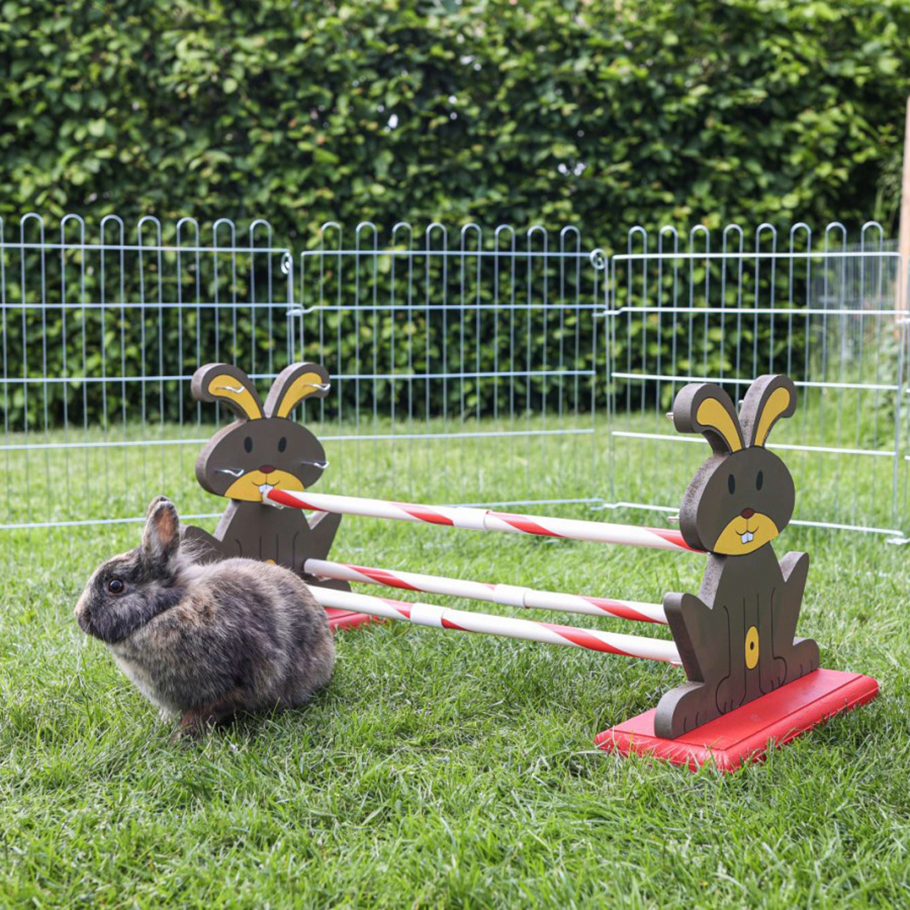 Kerbl Obstacle pour rongeur Agility - Image 2