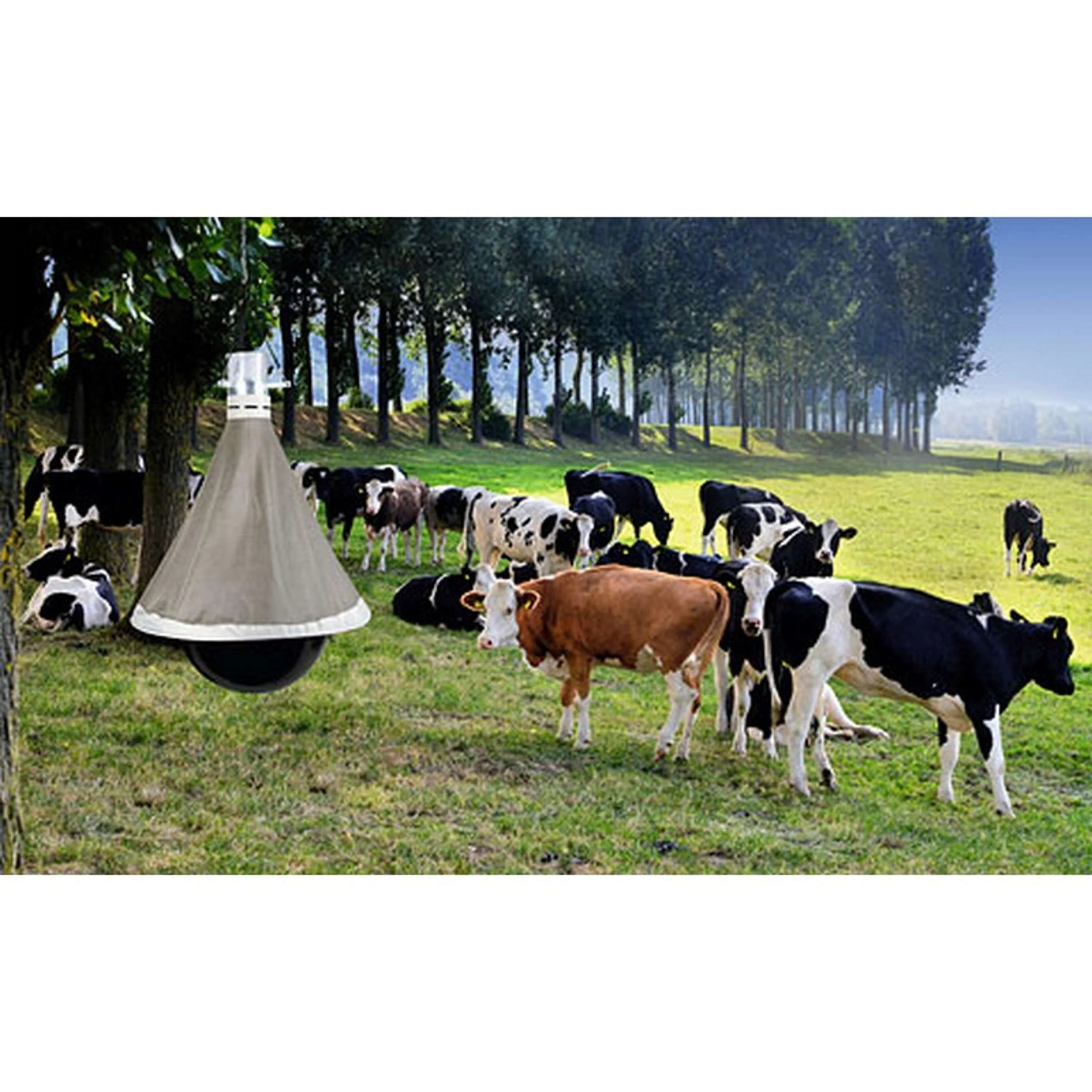 Kerbl Piège à Insectes TaonX Eco - Image 3