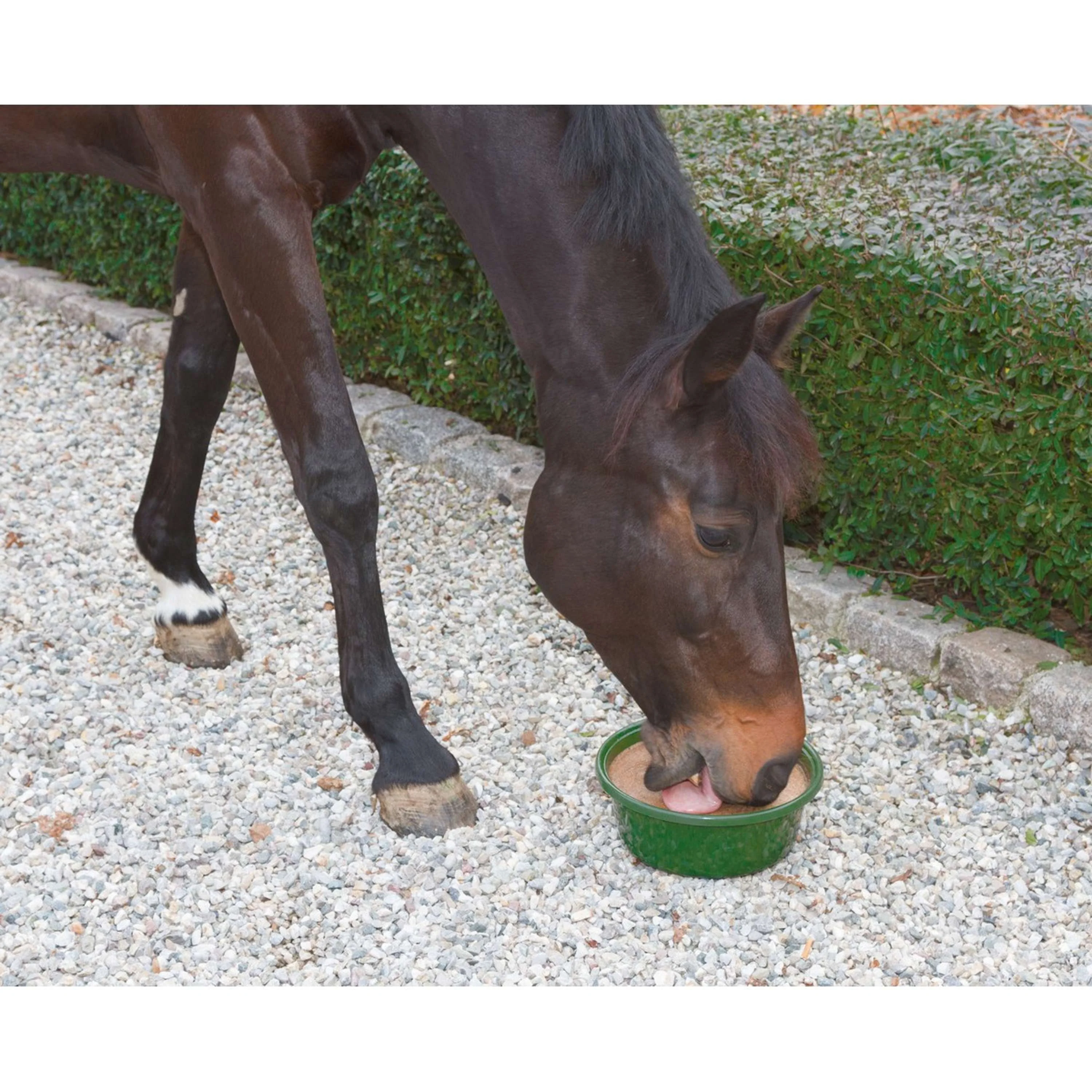 Kerbl Pierre à Lécher Minérale Delizia dans Plat avec Couvercle - Image 3