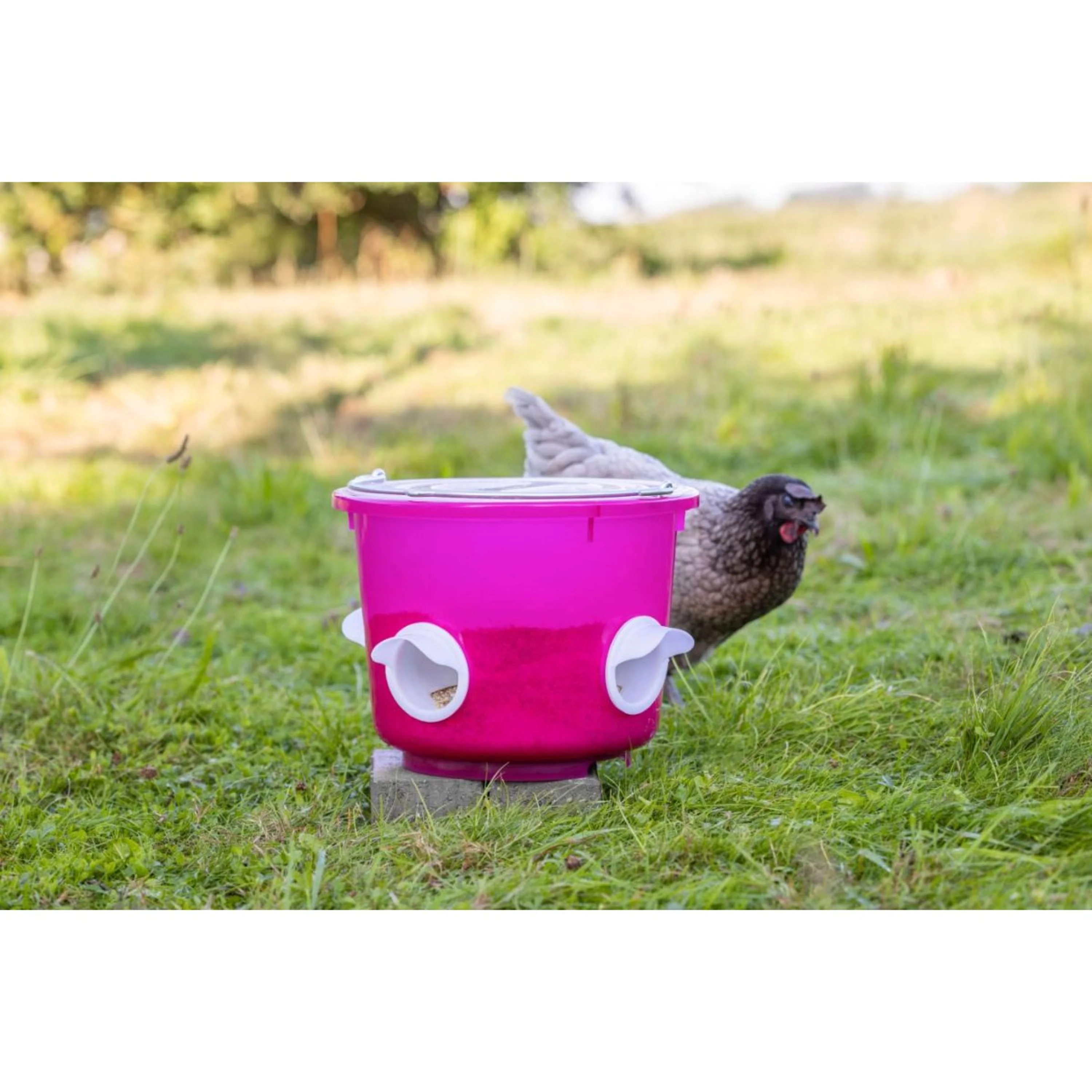 Kerbl Seau à Nourriture Poulets Rose - Image 3