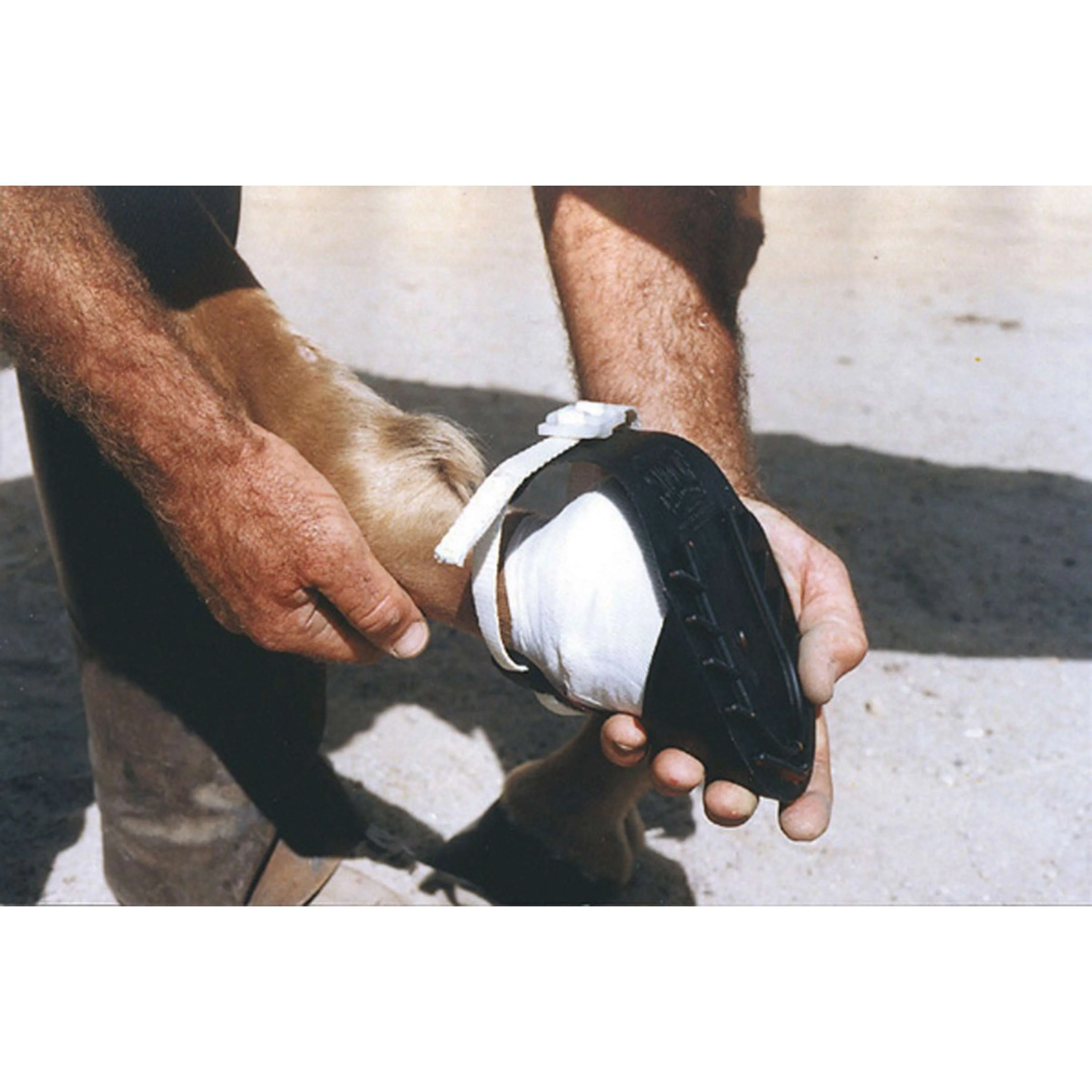 Kerbl SHOOF Chaussure de soins Cheval Noir - Image 2