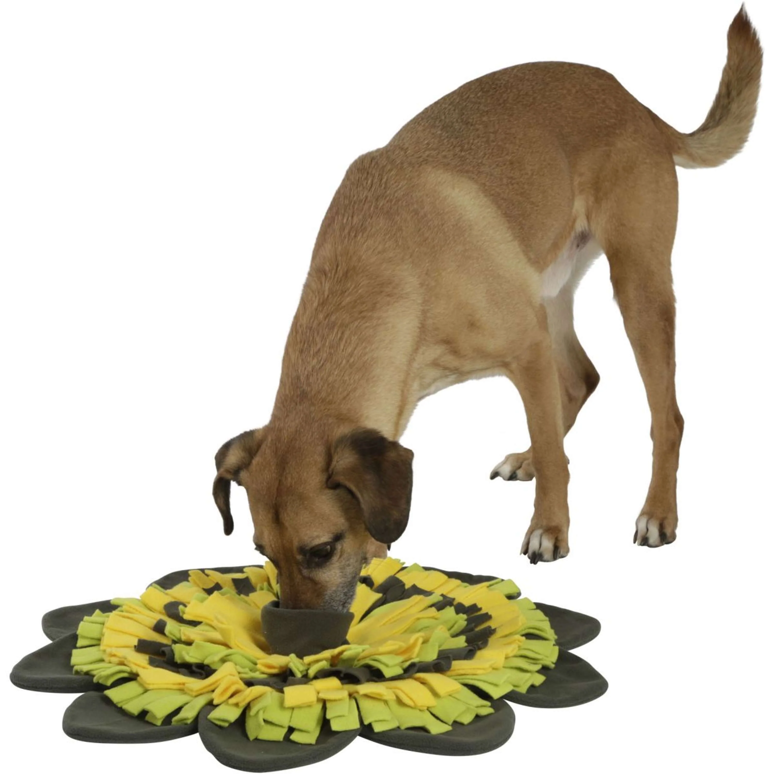 Kerbl Tapis de Fouille Tournesol Jaune/Vert - Image 3