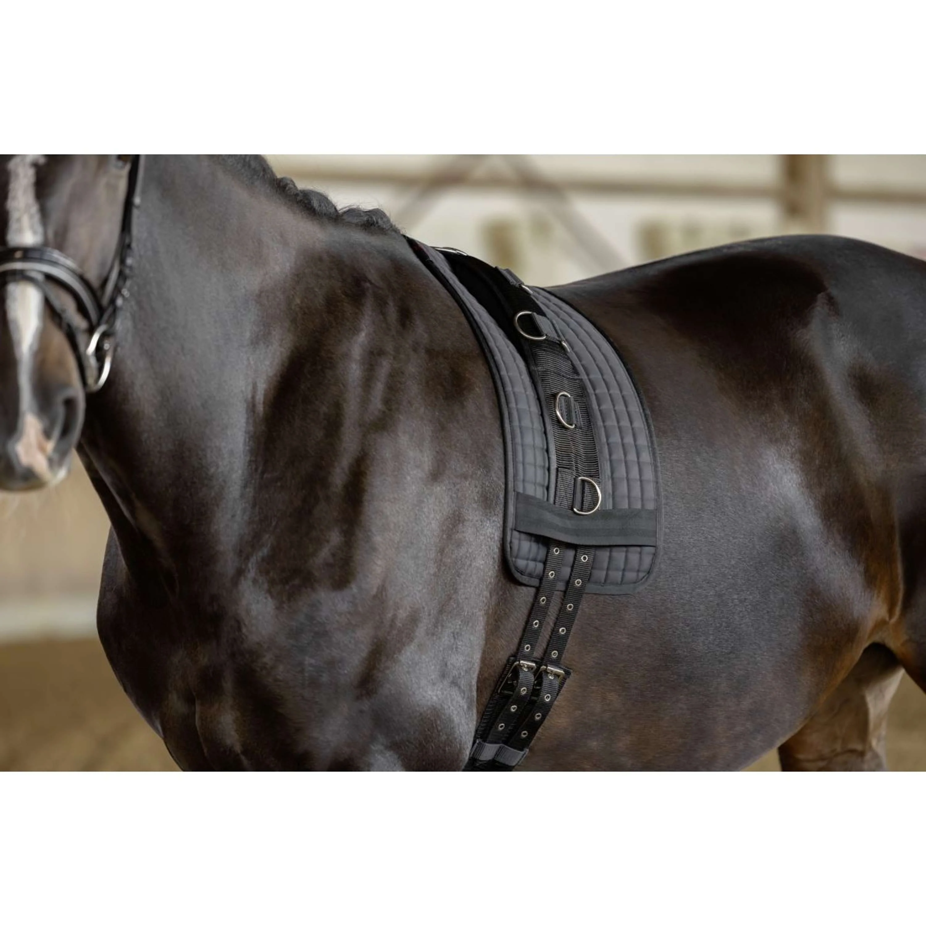 Kerbl Tapis pour Surfaix Noir - Image 4